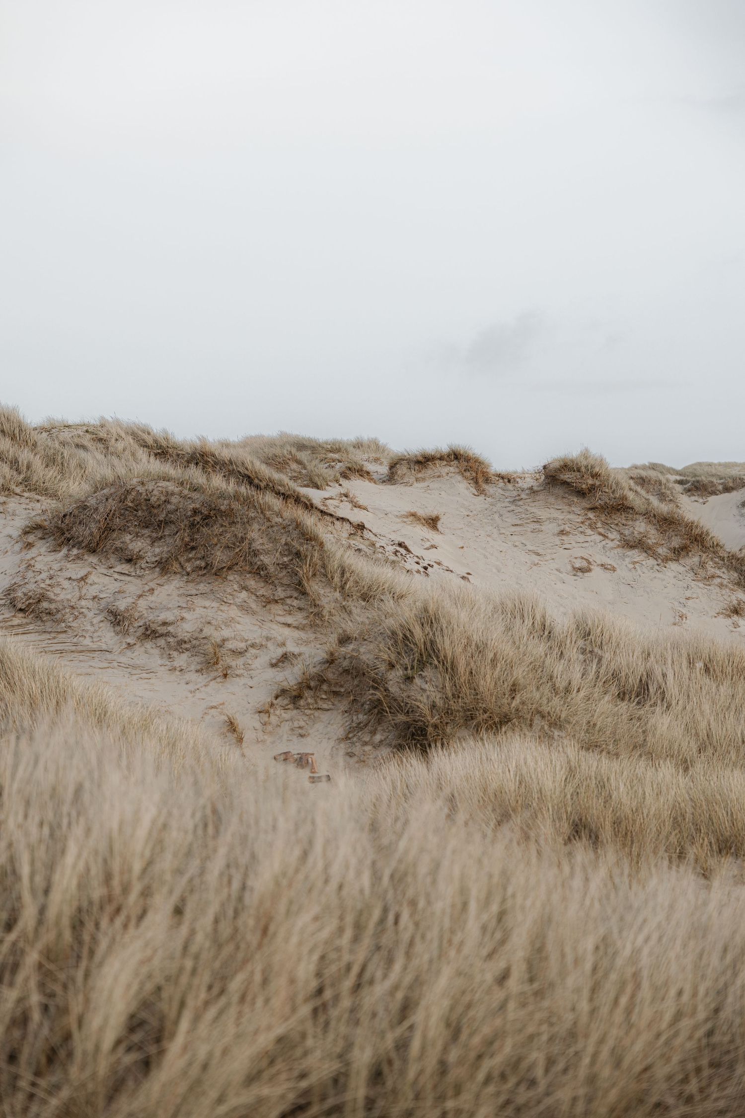 Bryllupsfotografering i Haugesund, Rogaland