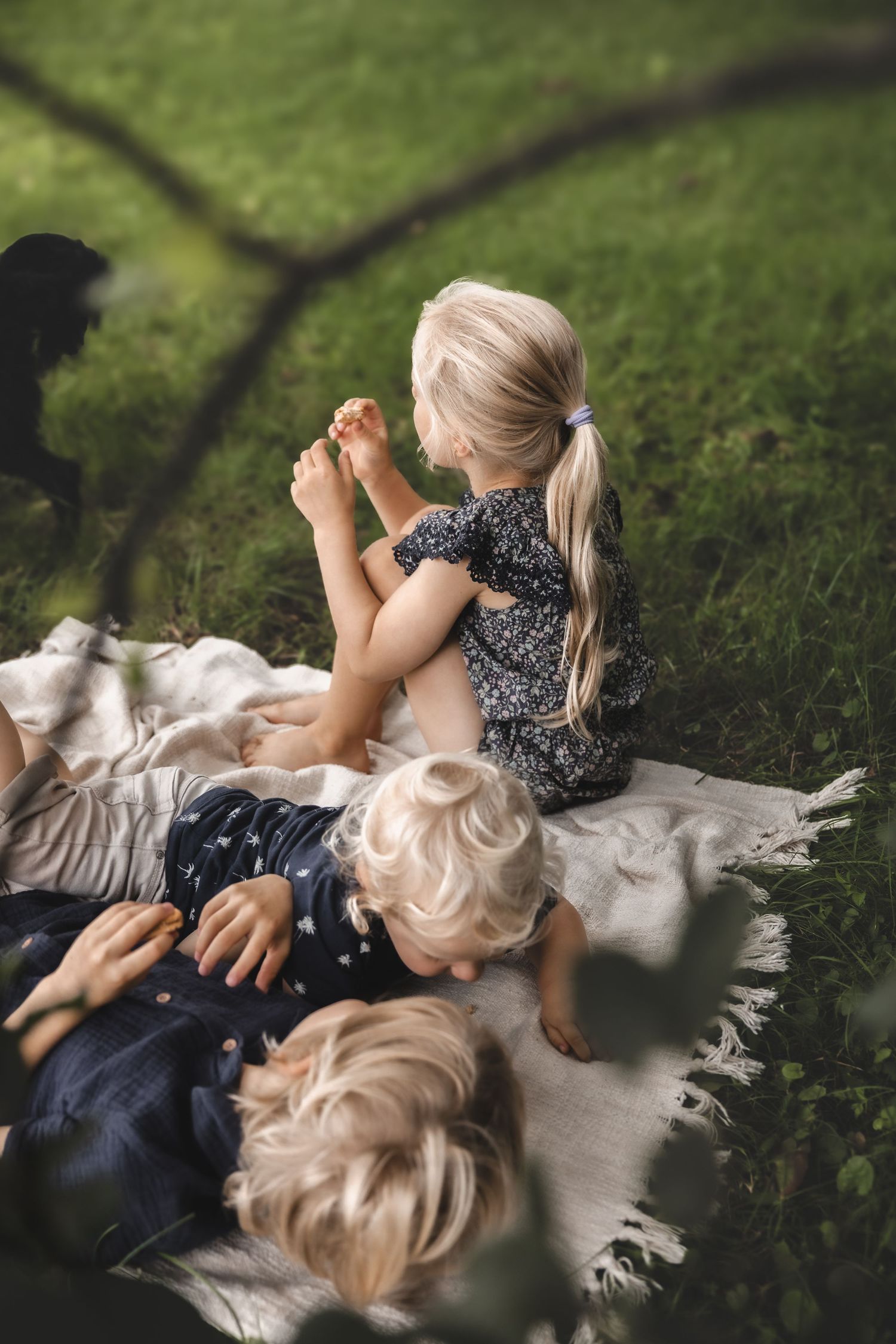 Barn og familie fotograf /fotografering på Haugalandet, i Haugesund, Tysvær, Karmøy og Rogaland