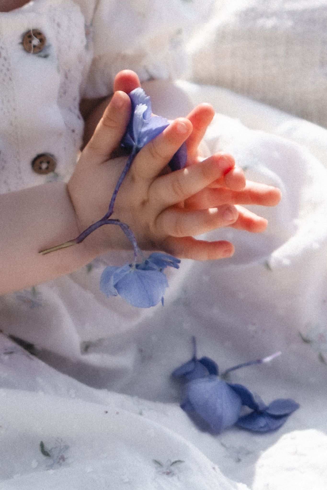 1års fotografering og familiefotografering kombinert i Haugesund