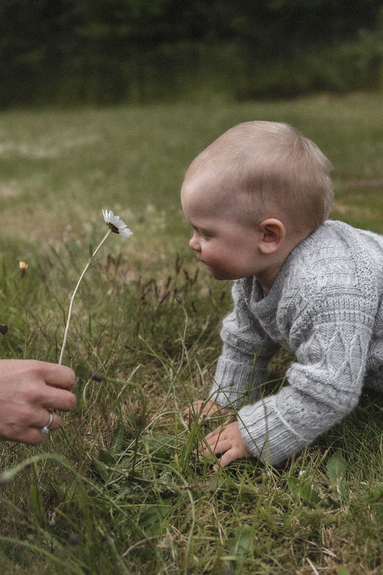 fotograf på Haugalandet, fotografering, Haugesund, Tysvær, Karmøy, Rogaland