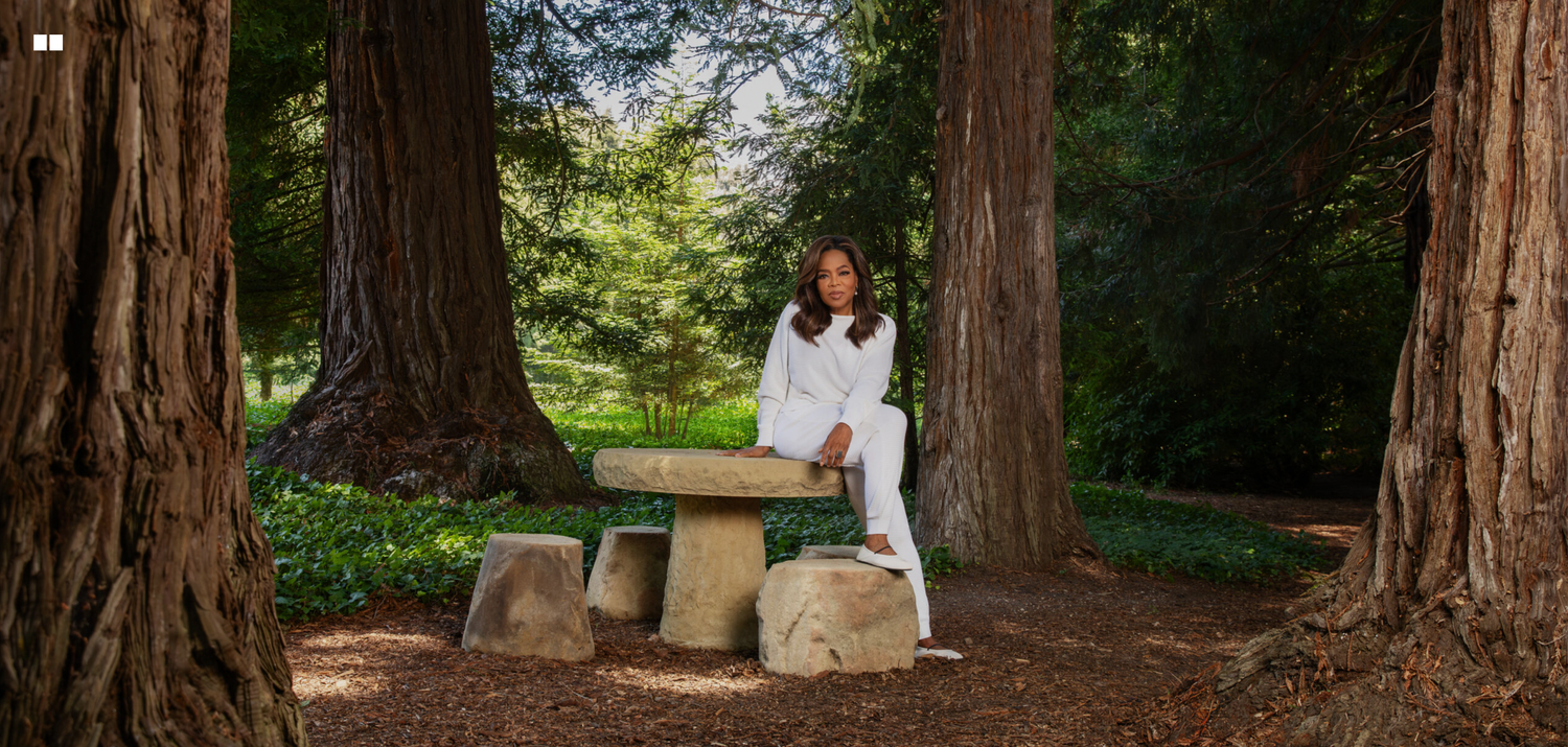 Portrait of Oprah Winfrey for the Edward Enninful's EE72. Photographed in Montecito California. Using Canon 5d mark iv and Profoto
