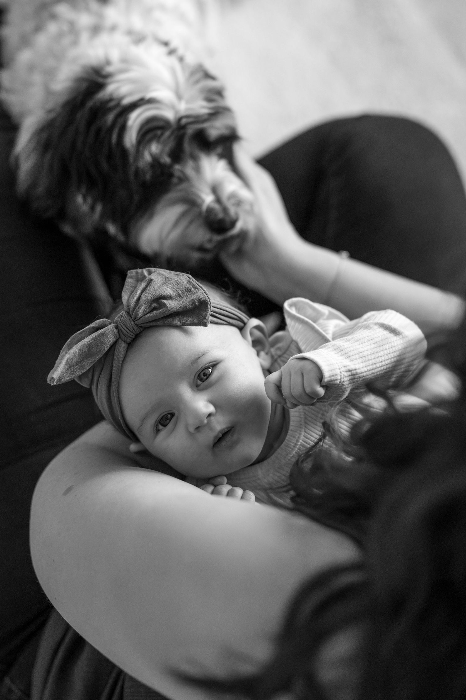 Black and white portrait of baby resting on soft surface in gentle lighting.