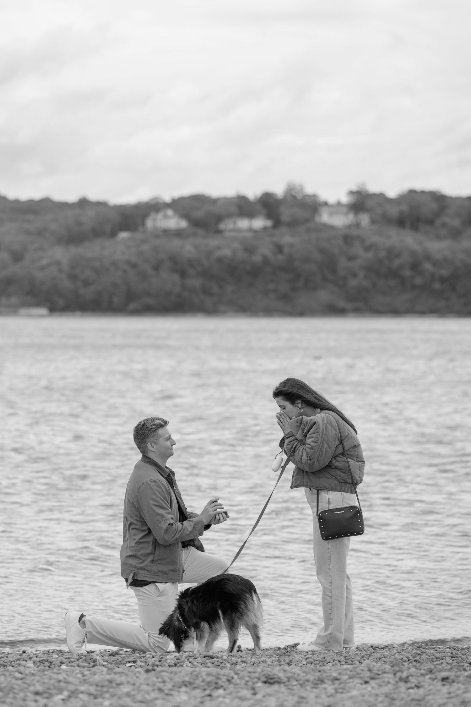 A sequence of black and white photos showing a romantic beach proposal with a dog present by the water.