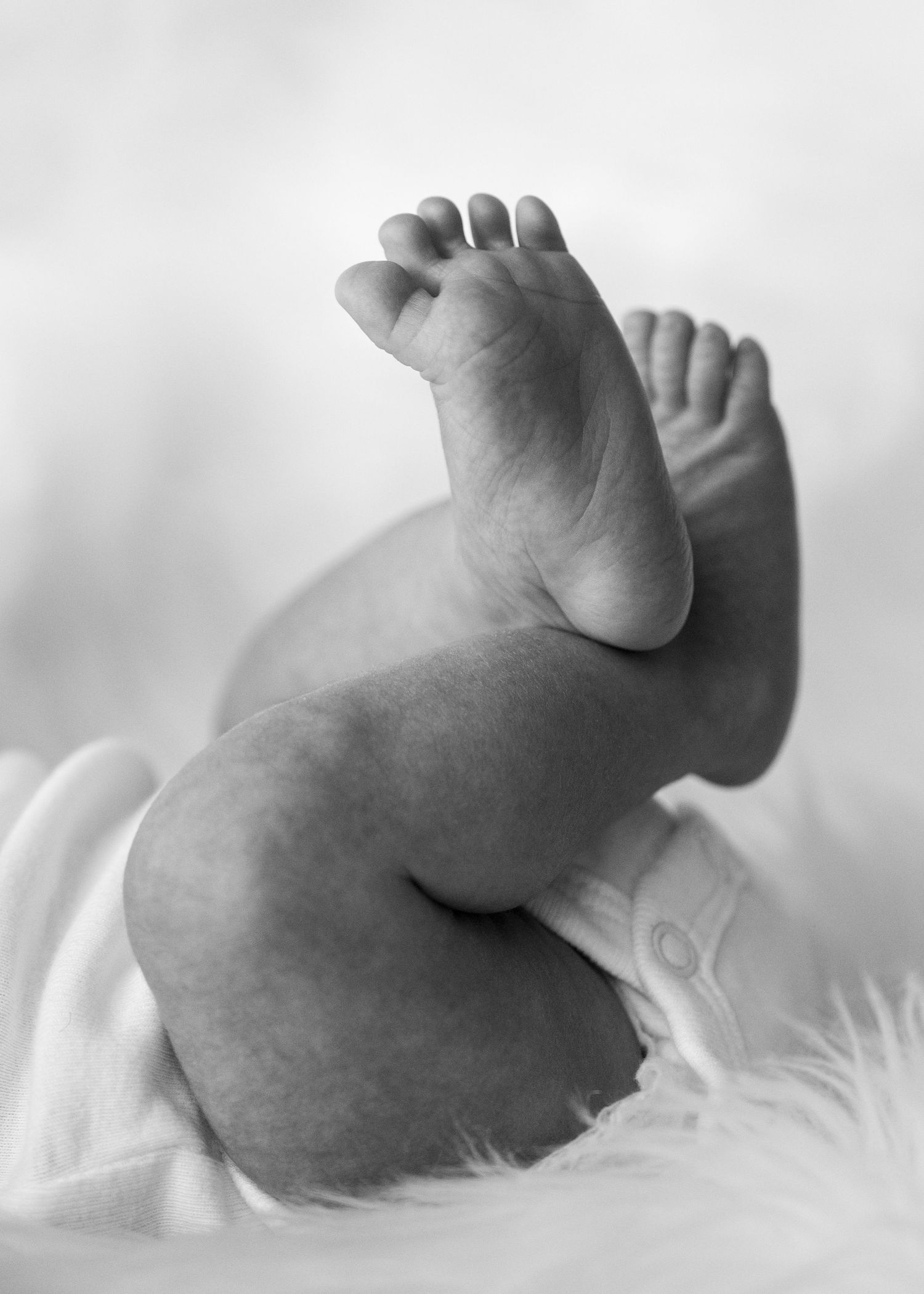 Close-up of tiny newborn feet against white textured background.