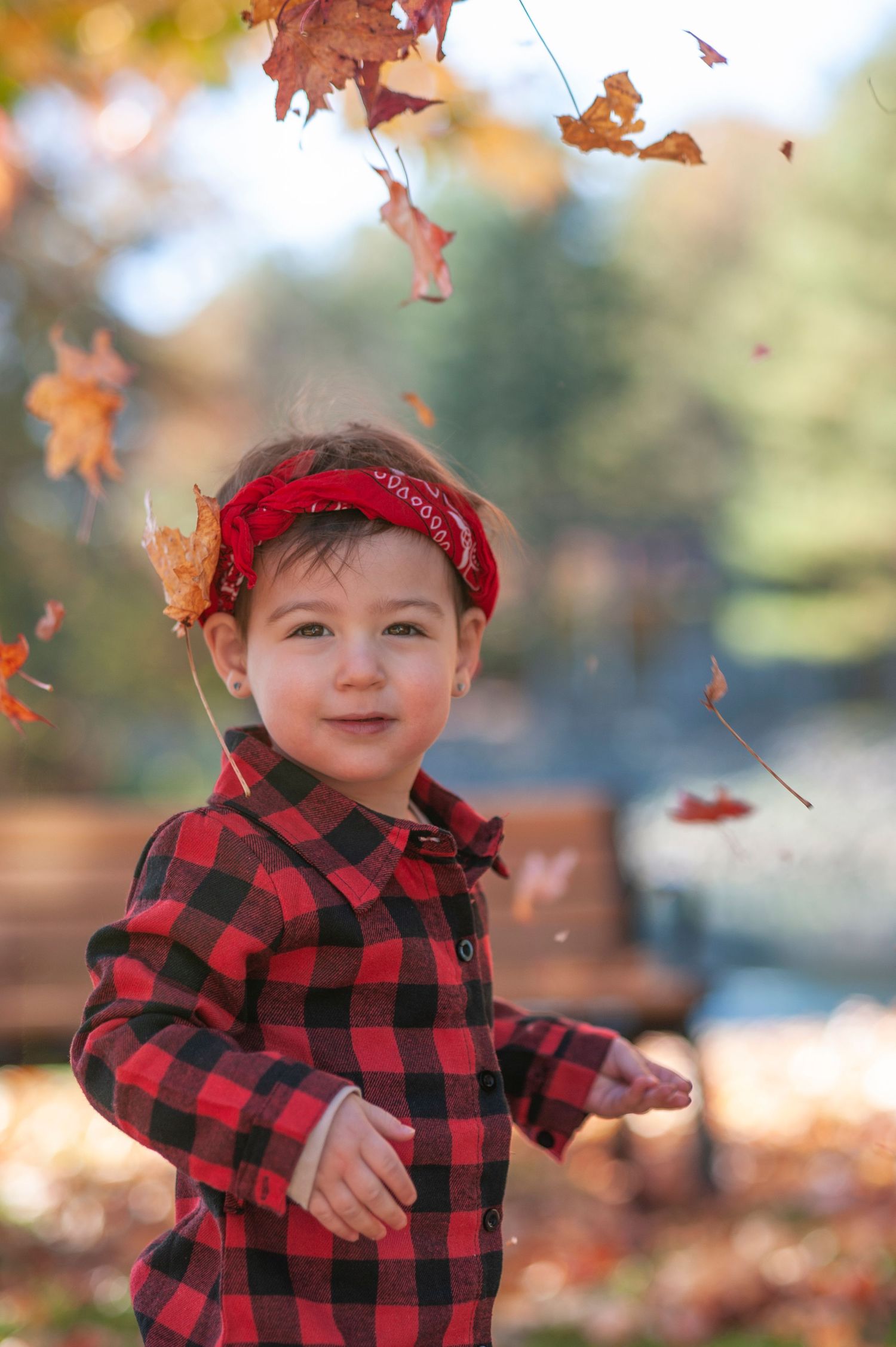 Playful autumn scene with red buffalo plaid and falling maple leaves in warm sunlight.