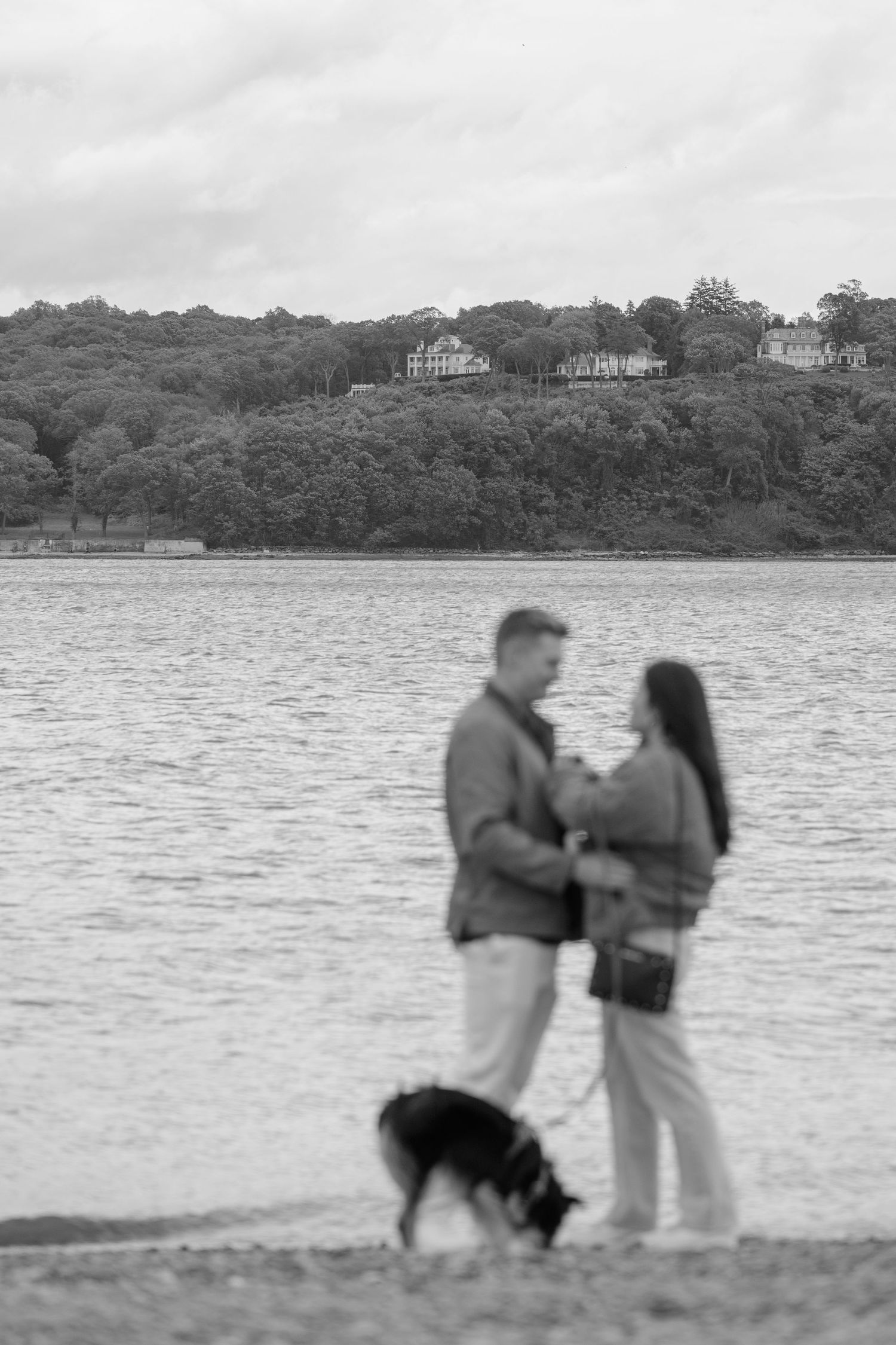 A couple and their dog stand at the water's edge with houses visible on a distant hillside.