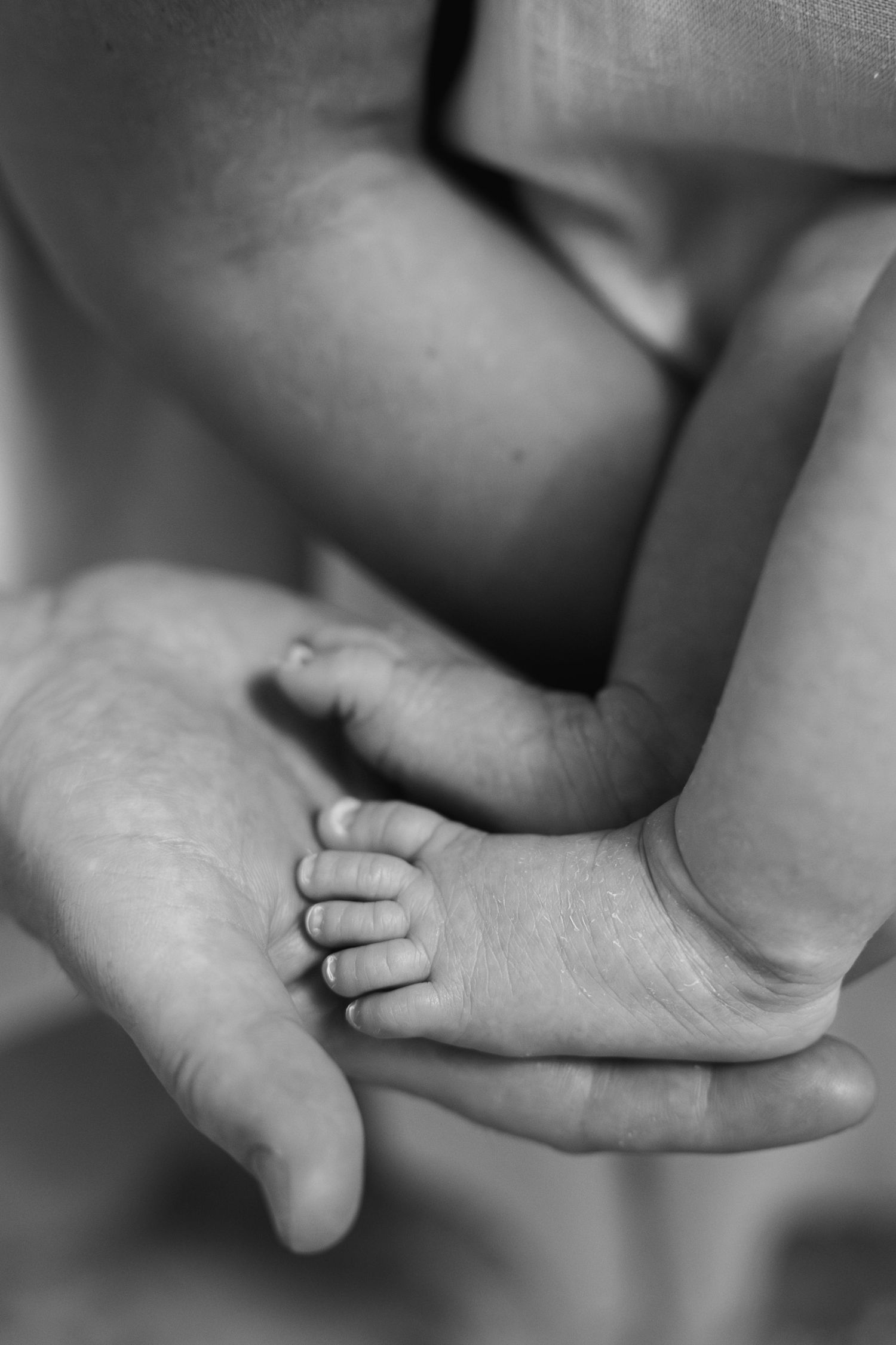 Artistic black and white close-up of tiny baby feet being held by gentle hands.