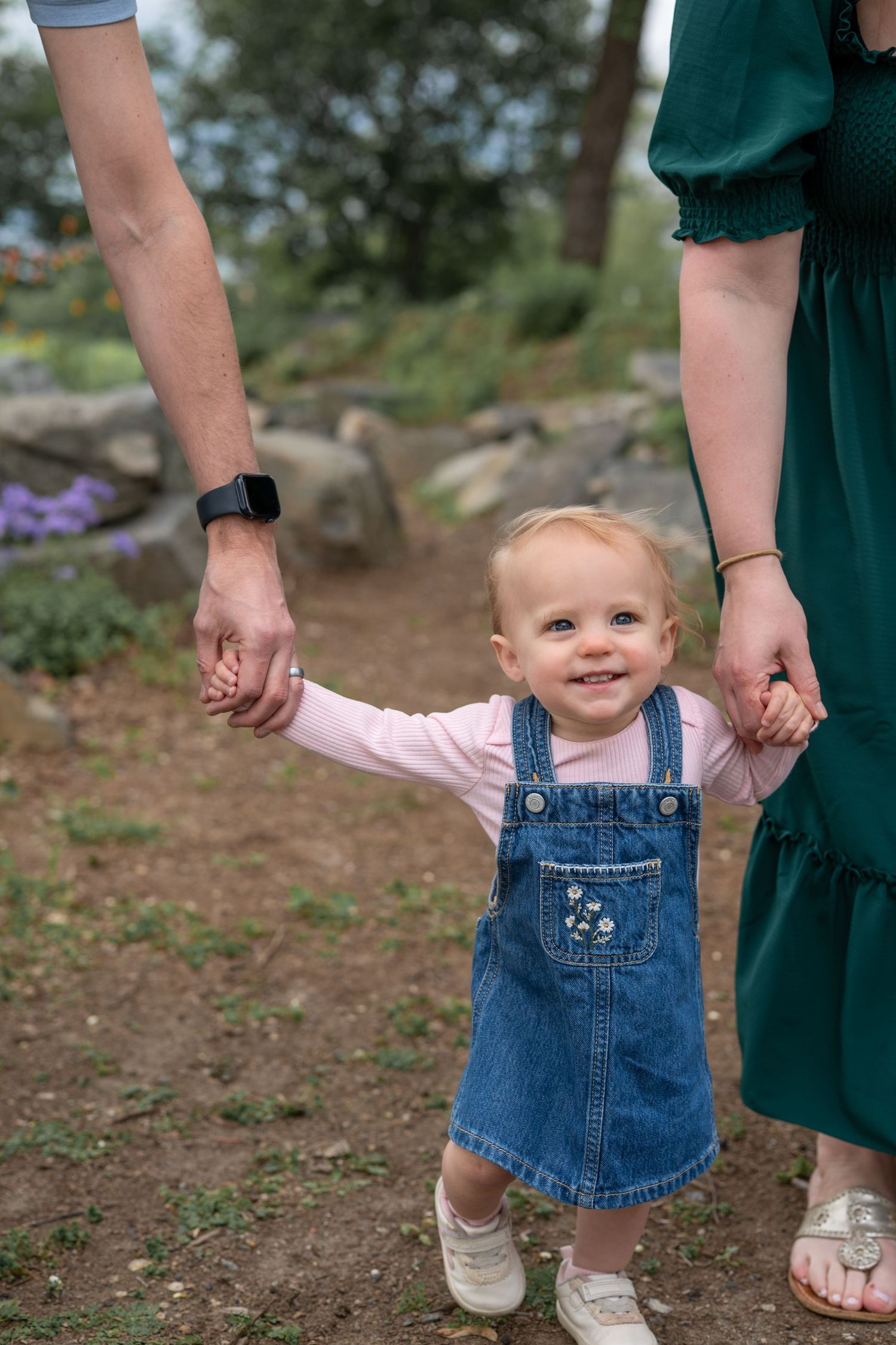 Small child in denim overalls learning to walk while holding hands.