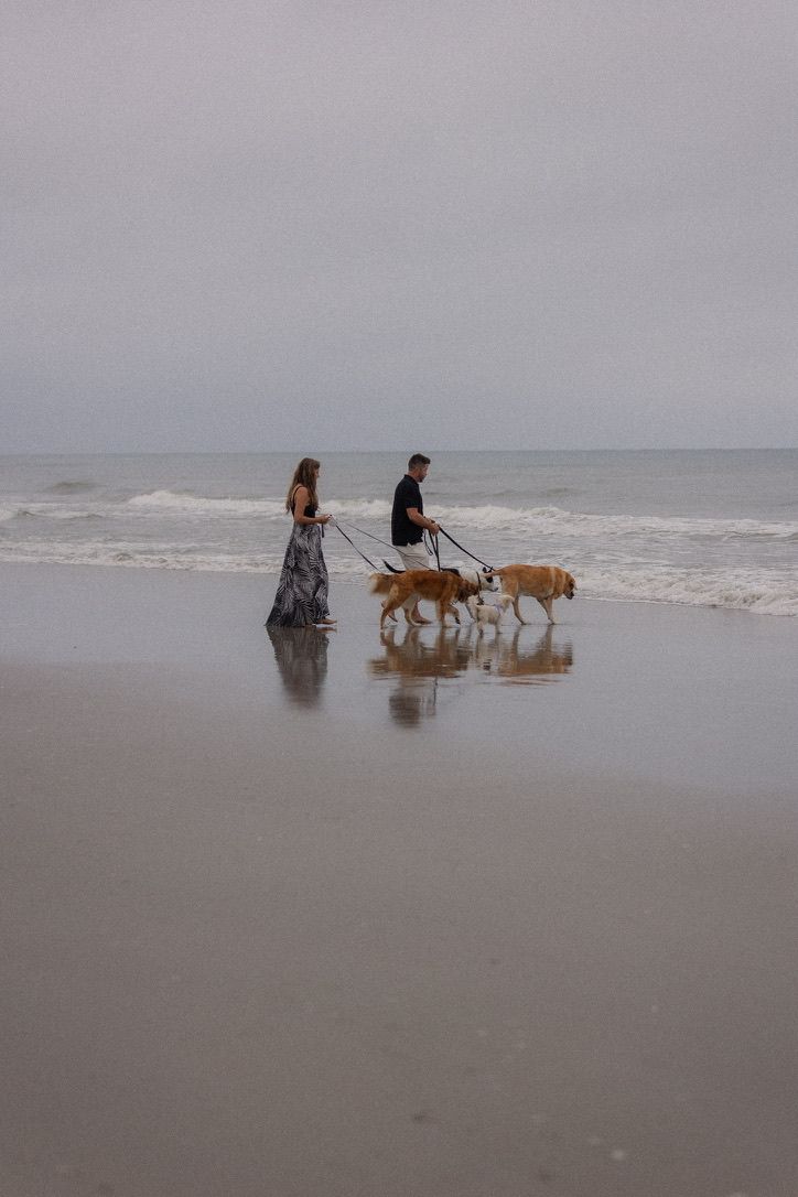 People walking dogs along misty beach shoreline.
