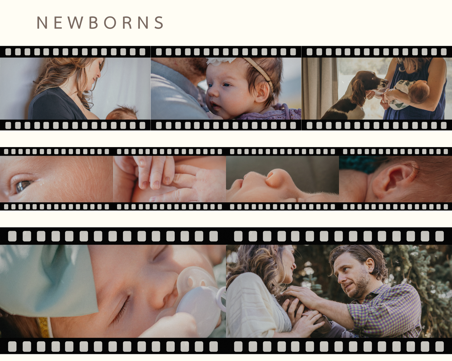 A film strip collage showing various newborn photography sessions with families and babies in intimate moments.
