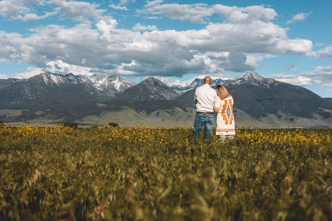 A golden wheat field stretches toward snow-capped mountains under a bright blue sky.