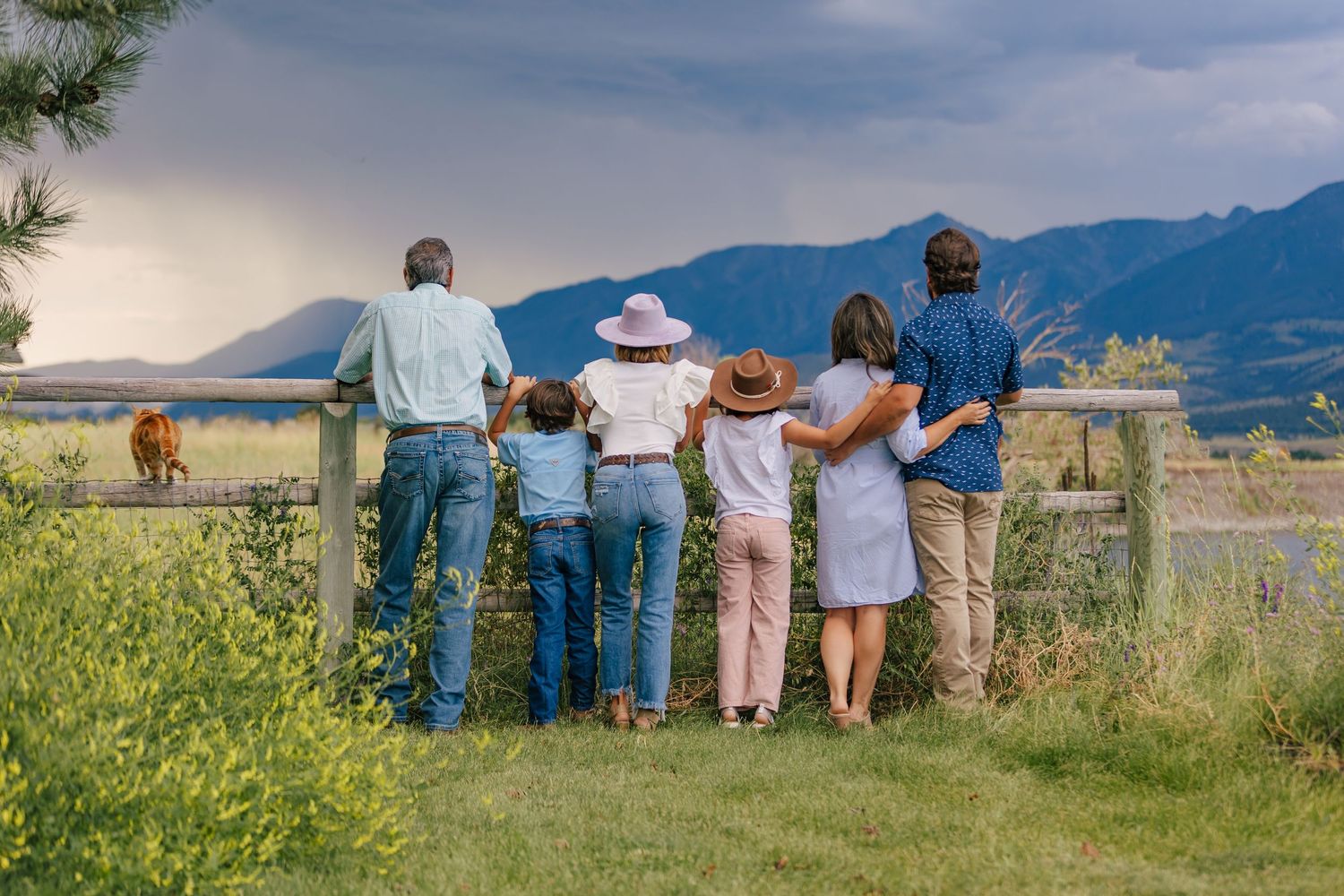 People gather at a scenic overlook to view distant mountains and rolling hills on a sunny day.