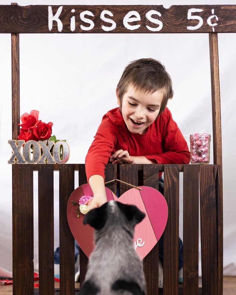 Kissing booth display with child interacting with small black dog through wooden fence.