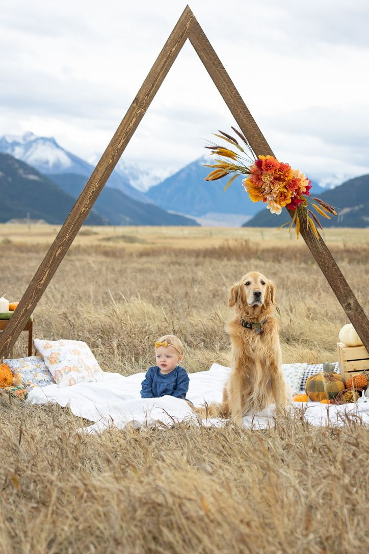 Outdoor family picnic scene with golden retrievers and wooden triangle frame.