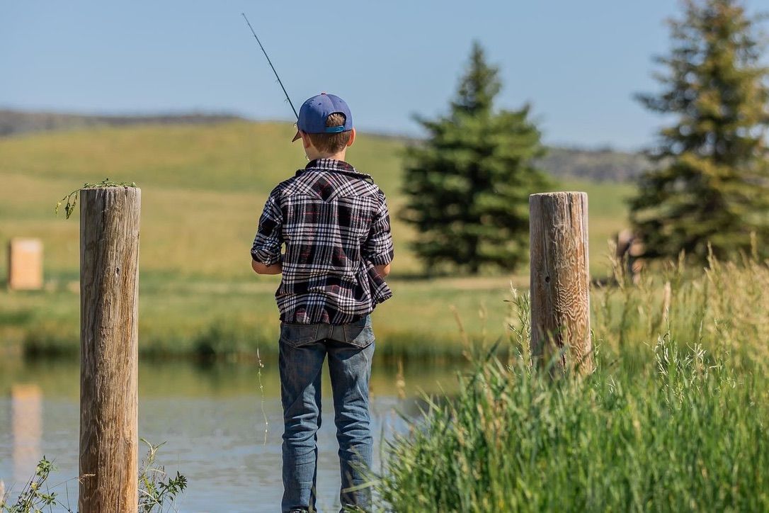 Person in casual wear fishing by a peaceful lake surrounded by evergreen trees.