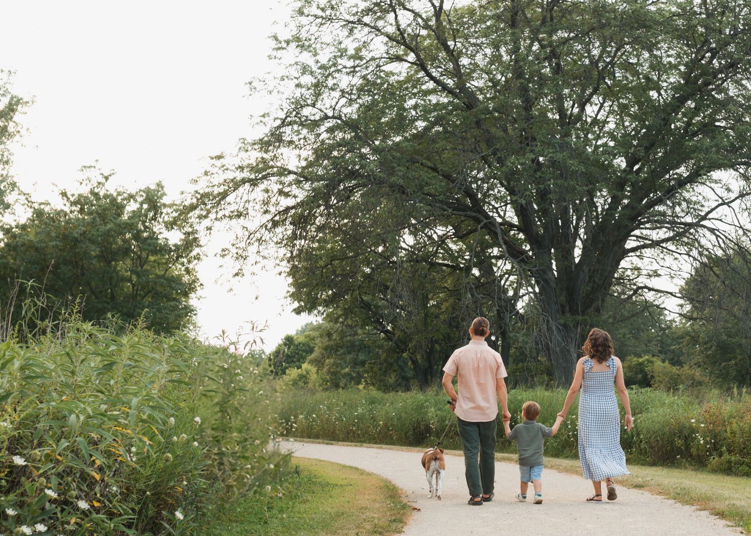 People walking along a tree-lined path on a summer afternoon.