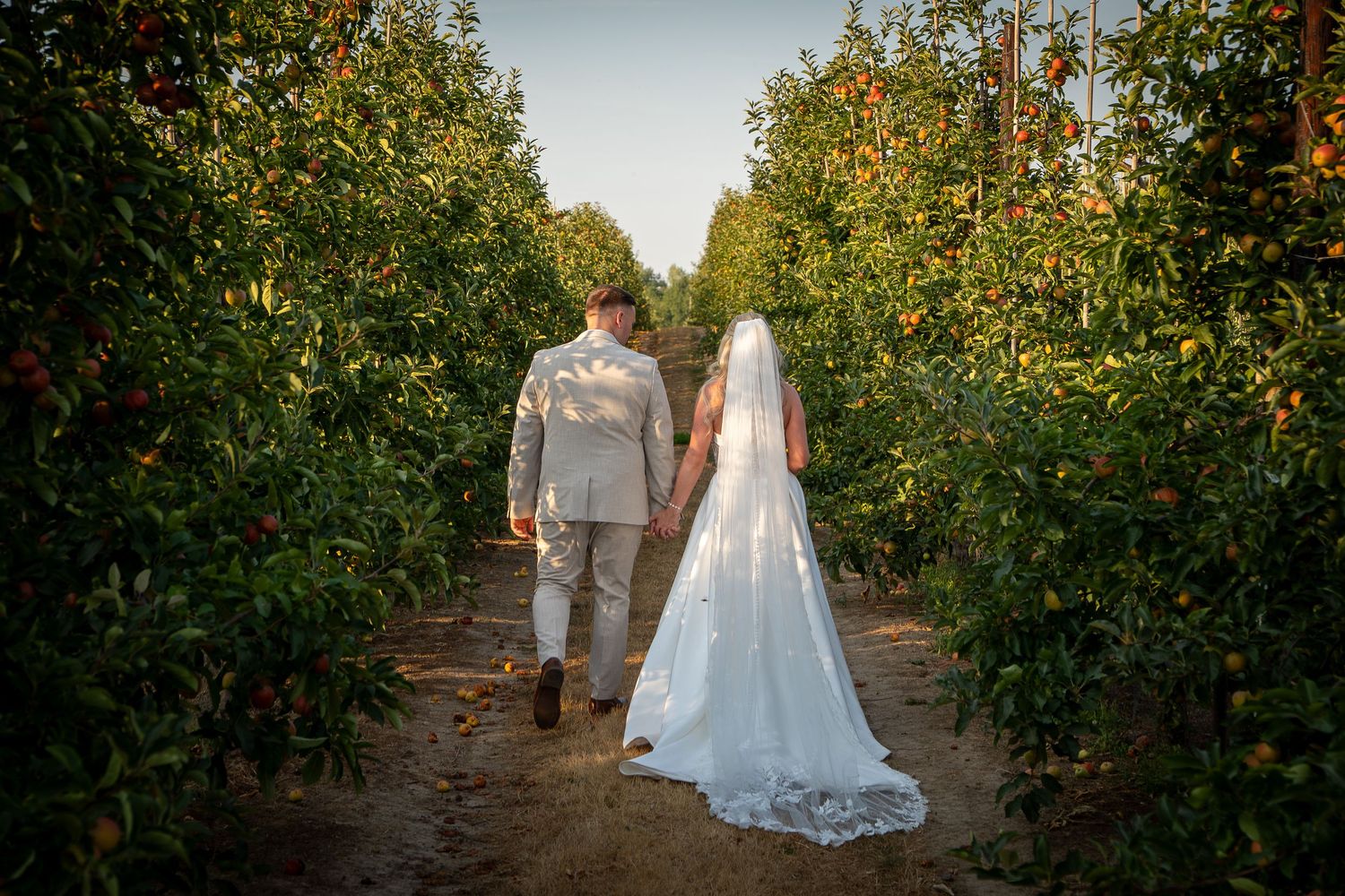 Kent Wedding Photographer
Tunbridge Wells Wedding Photographer
Candid Wedding Photography
Natural Wedding Photography
JASP Photography
