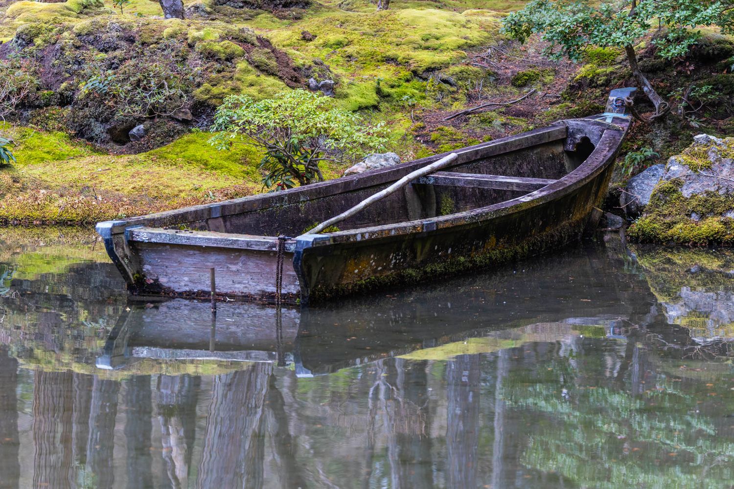 An aged wooden rowboat rests on a calm reflective pond surrounded by lush green moss.