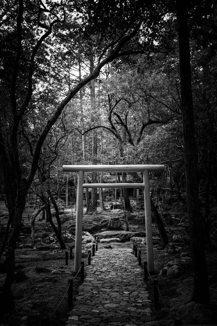 Black and white image of a stone path leading through a forest to a serene Japanese torii gate.
