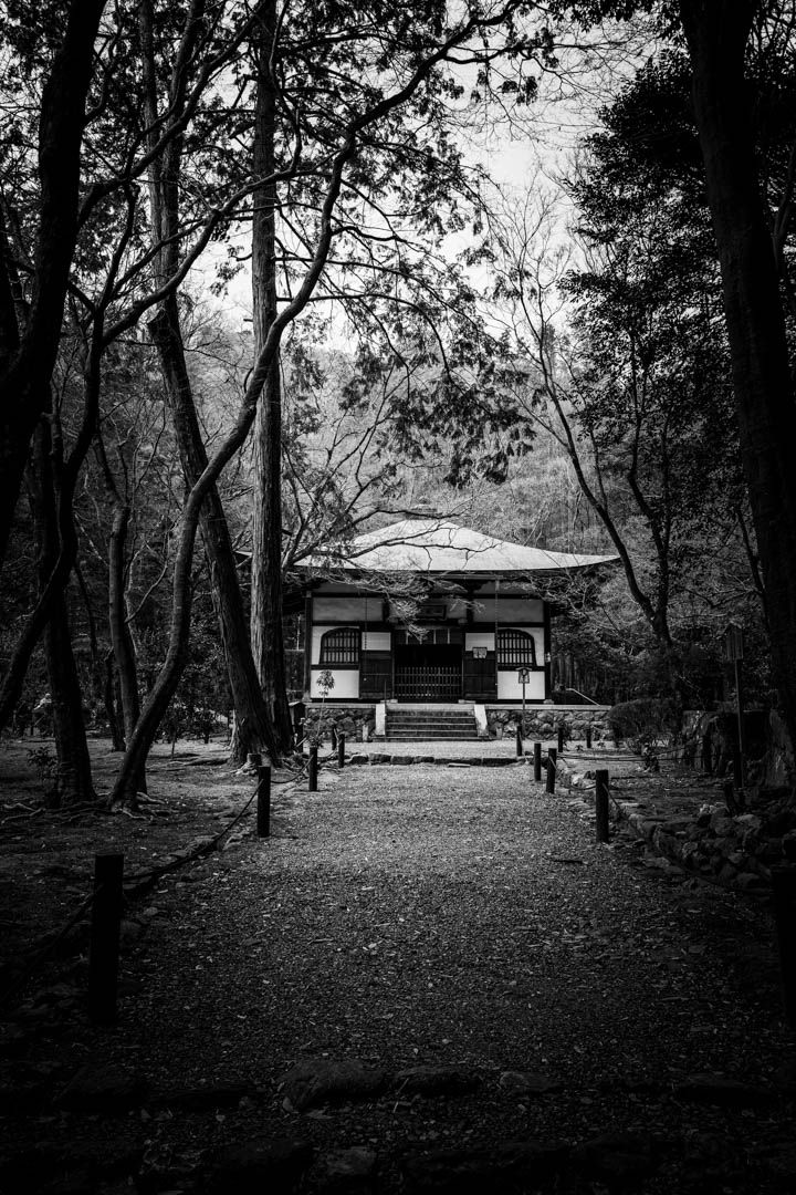 Black and white photo of a serene Japanese temple along a tree-lined path in a quiet forest setting.