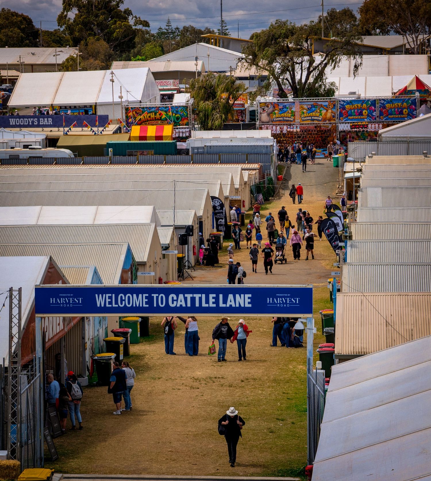 Aerial view of Cattle Lane at a rural agricultural fair with white tents, carnival rides, and crowds of visitors.