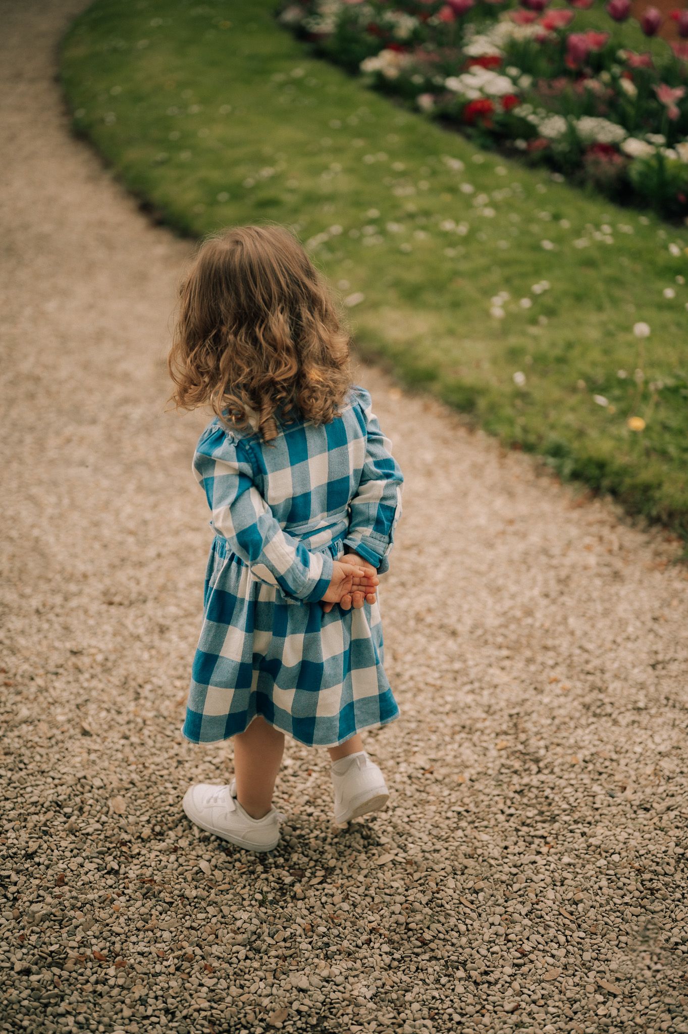 Toddler girl in a blue plaid dress walks along a garden path near colorful flowers.