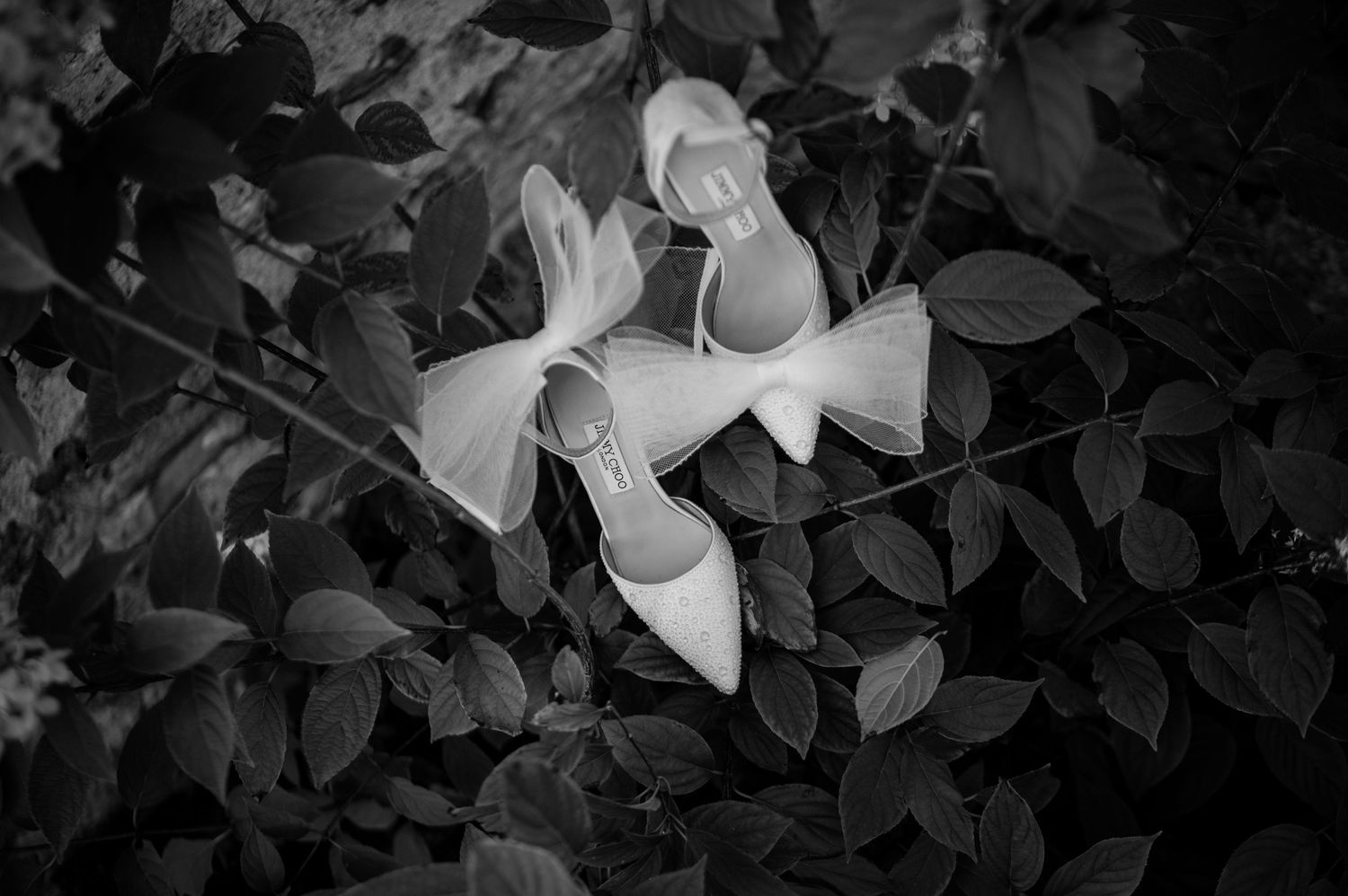 Black and white photo of elegant bridal heels with bow details resting among lush green leaves.