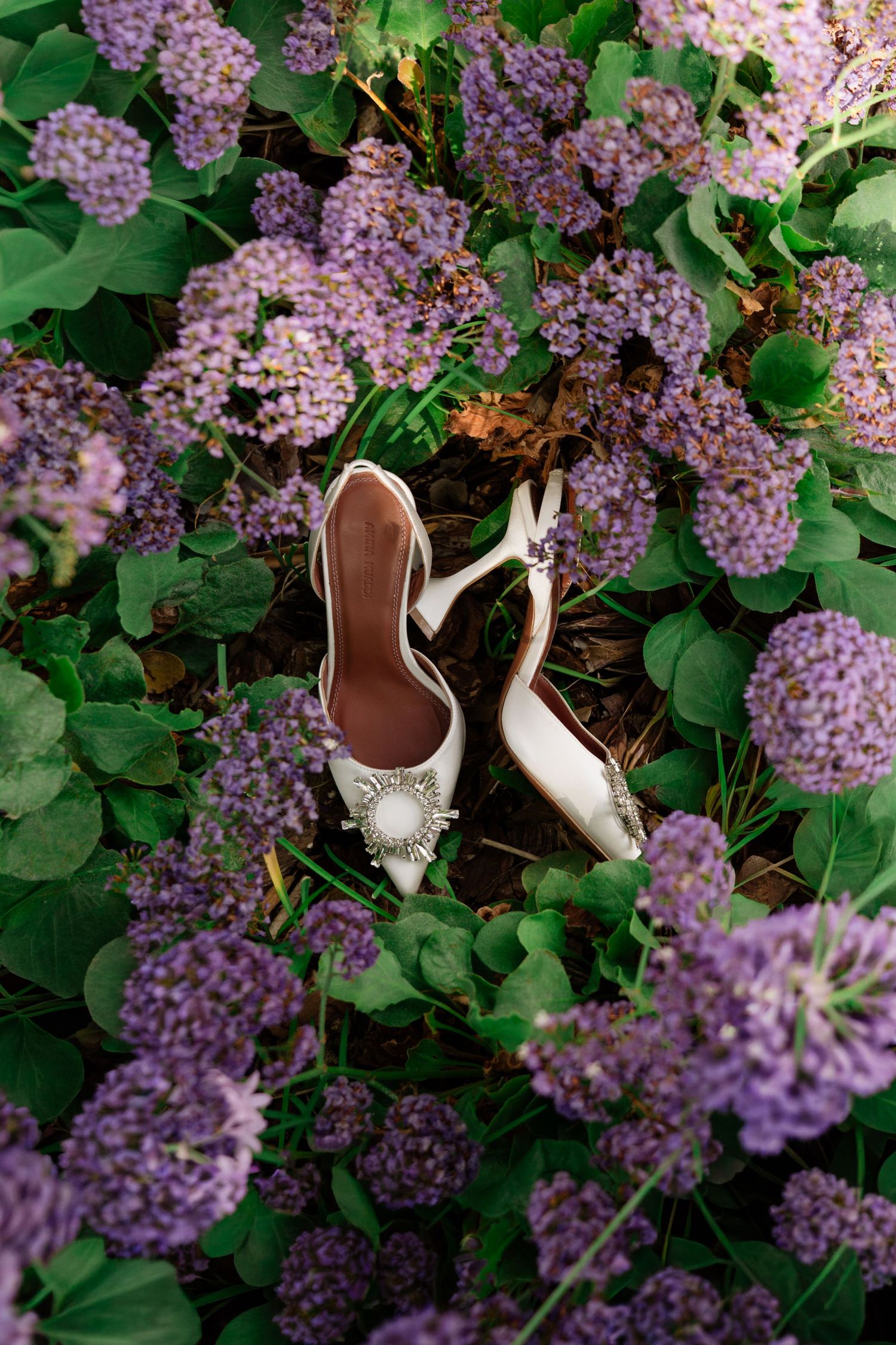 White bridal heels with jeweled embellishments placed among vibrant purple flowering ground cover.