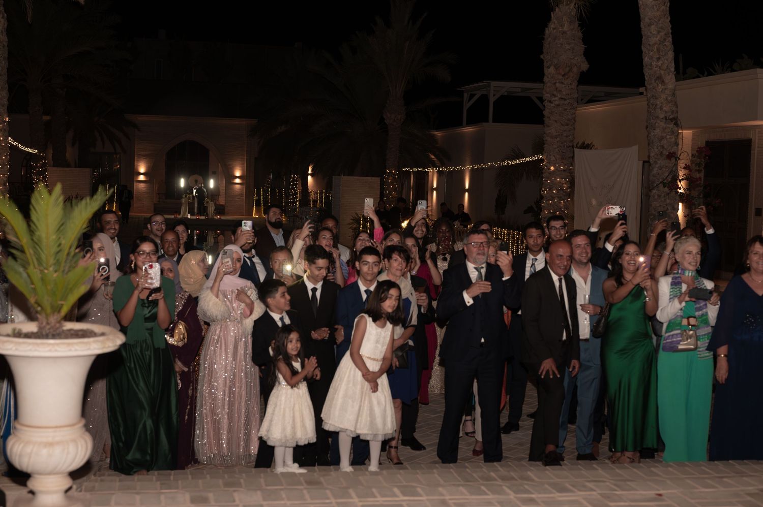 Large wedding party group photo outdoors at night under palm trees.