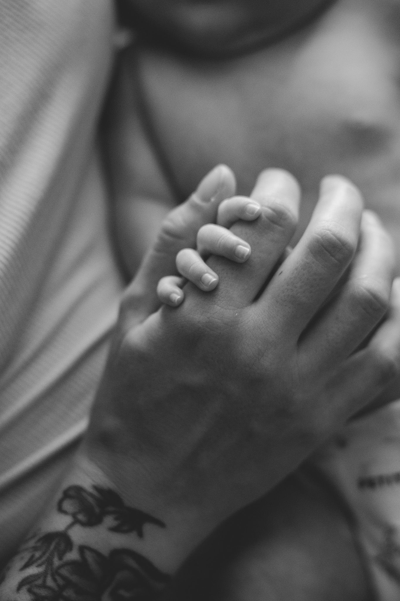 Black and white close-up of a newborn baby grasping parents tattooed hands tenderly.