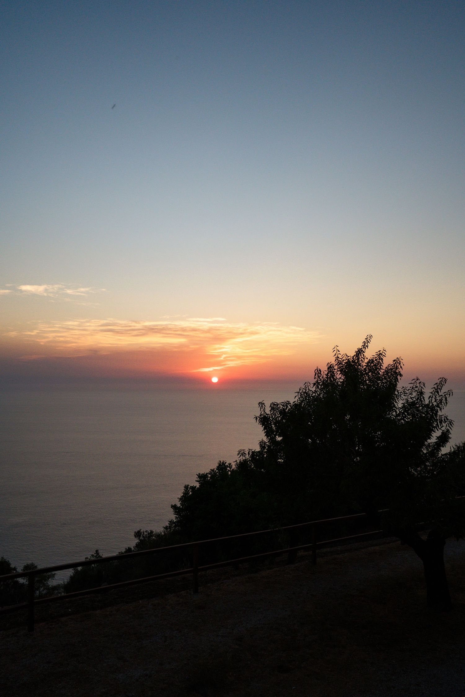 Stunning sunset over calm ocean waters with silhouetted tree in foreground at coastal wedding venue.