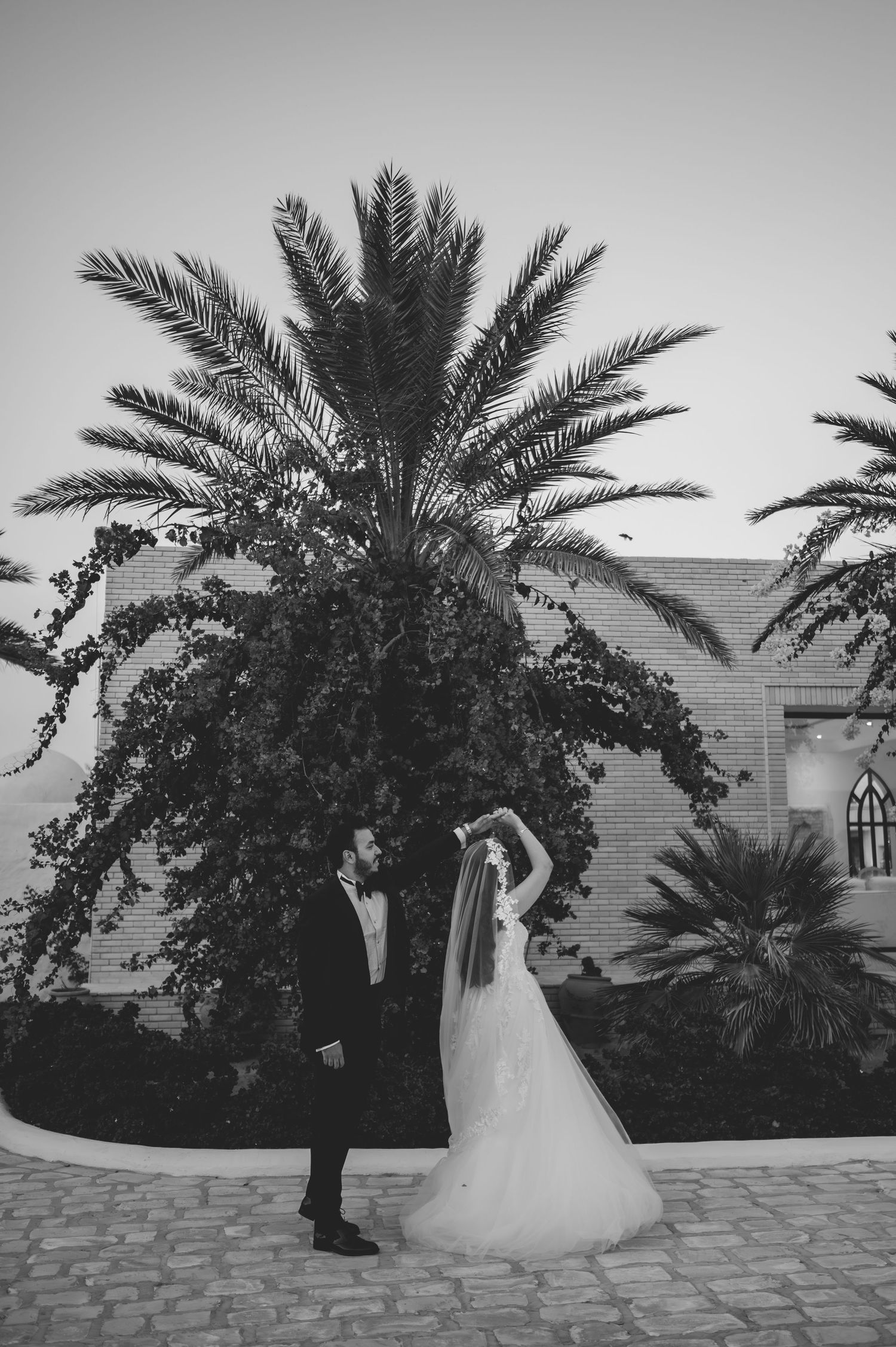 Black and white photo of bride and groom sharing romantic moment under palm tree at elegant wedding venue.
