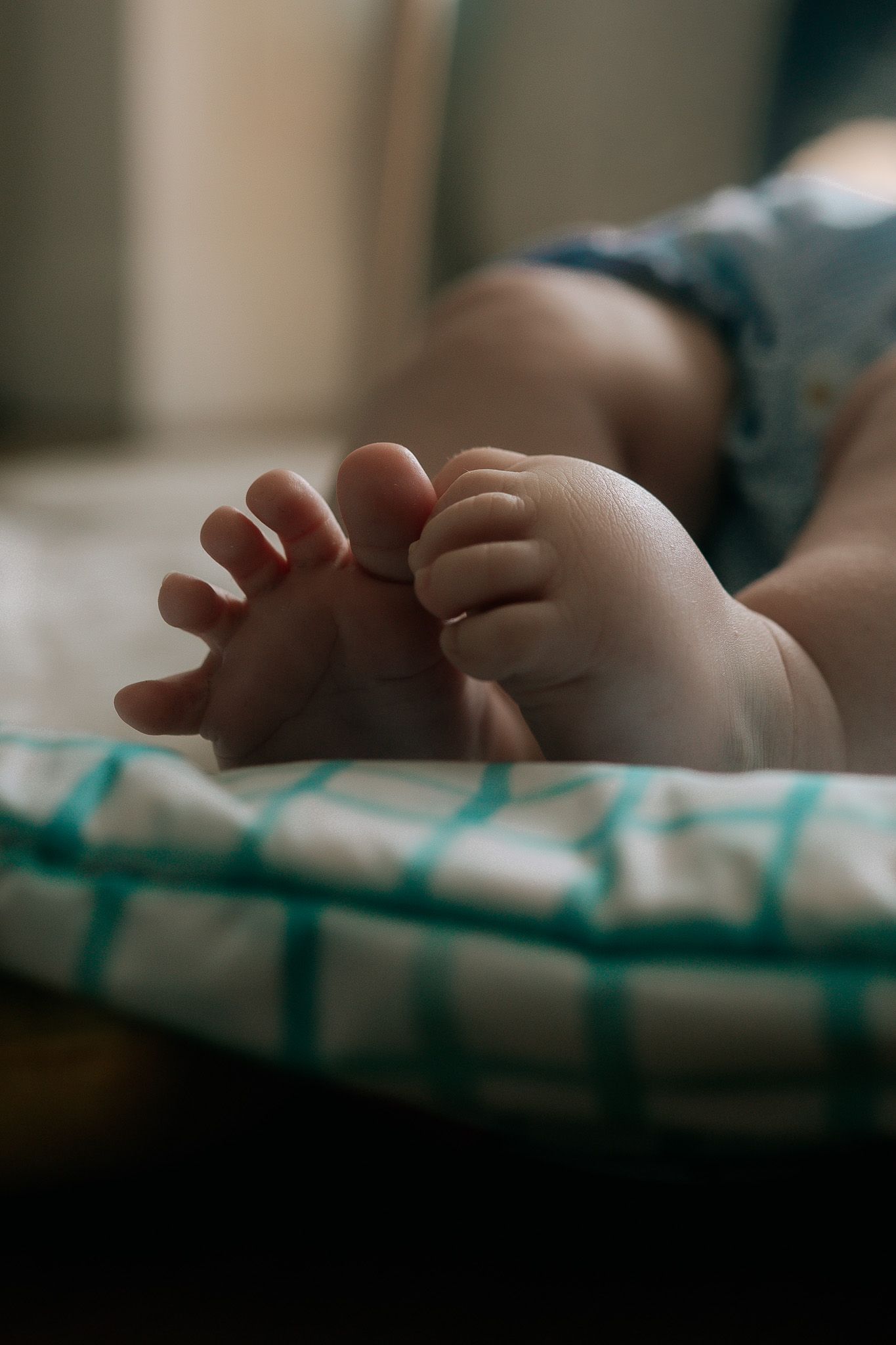 Close-up of tiny newborn baby feet resting on a teal checkered blanket in soft natural light.