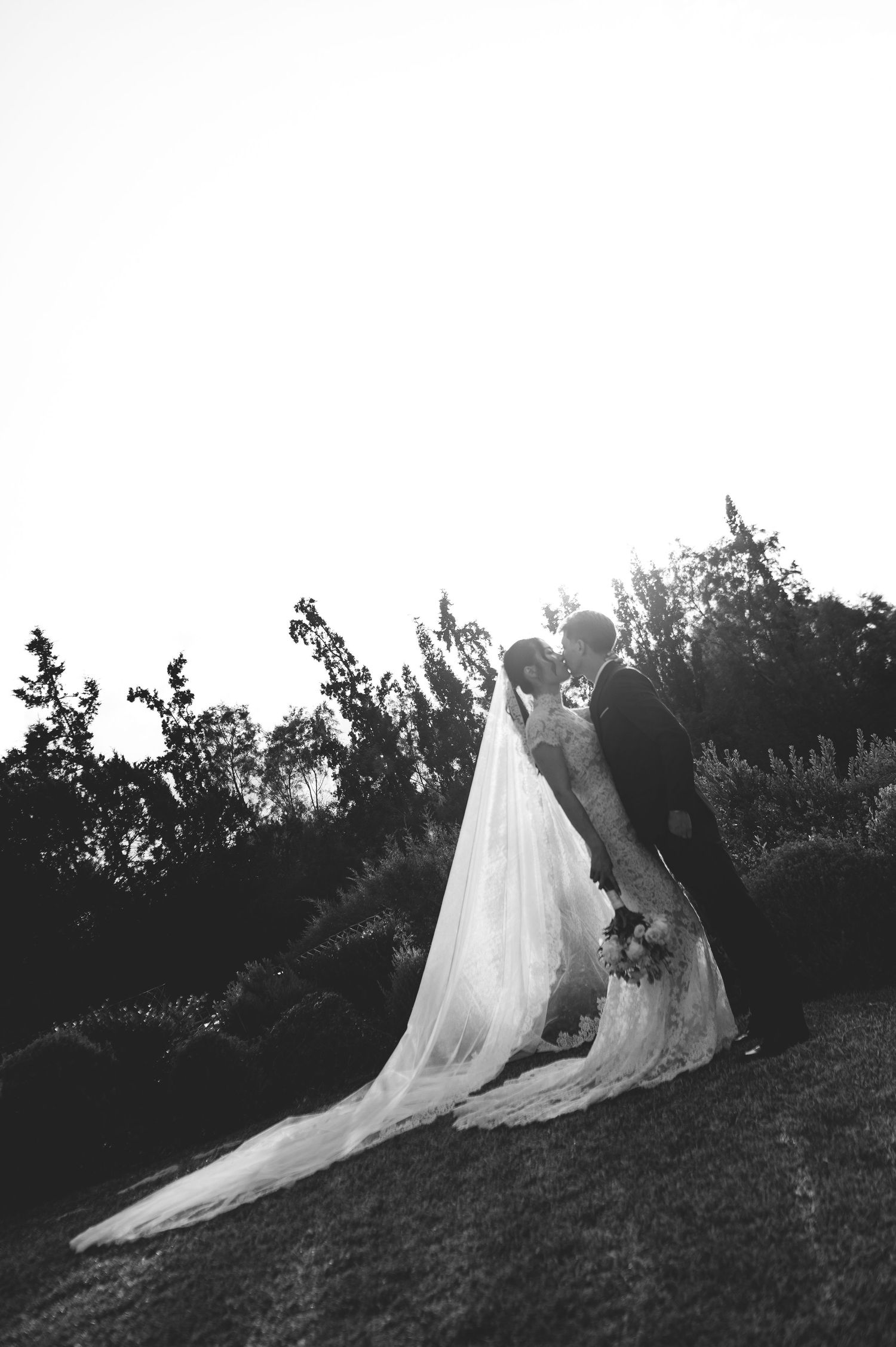 Black and white photo of newlyweds kissing in garden at sunset, bride's cathedral veil trailing on grass.
