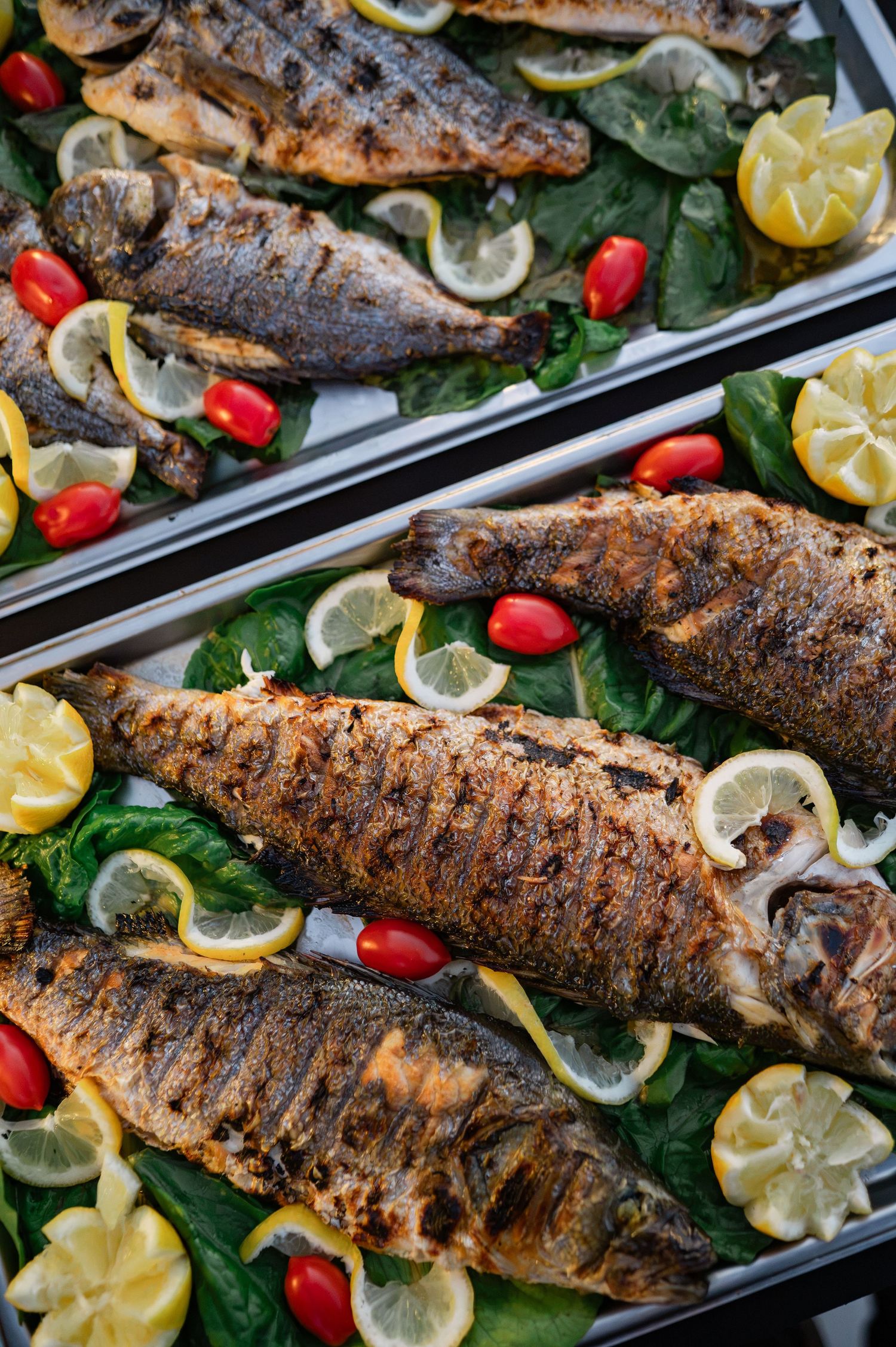 Grilled whole fish served on trays with lemon slices, cherry tomatoes and spinach.