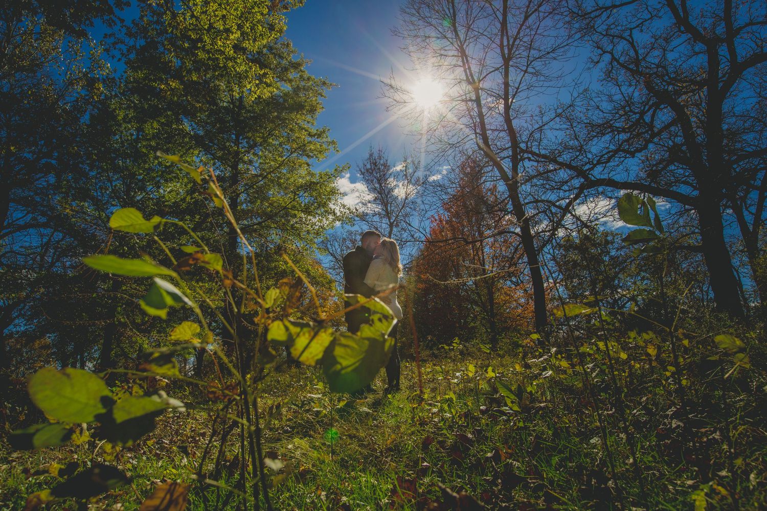 engagement session on iowa prairie with sunshine and trees