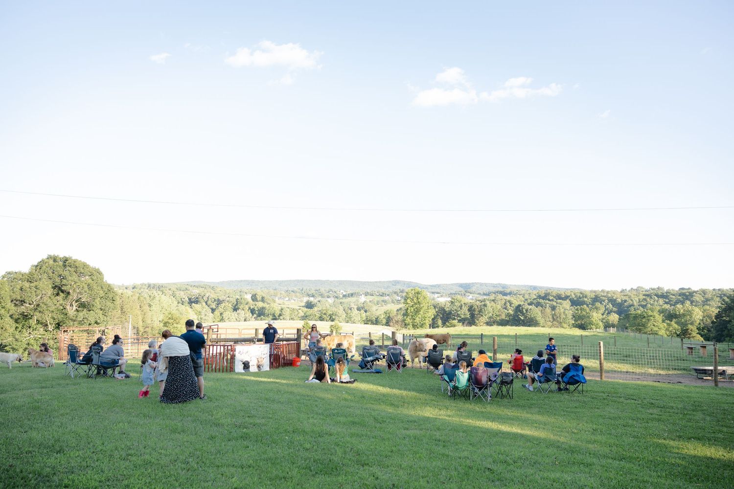 People relaxing on a lush green hillside with scenic countryside views under a clear blue sky.