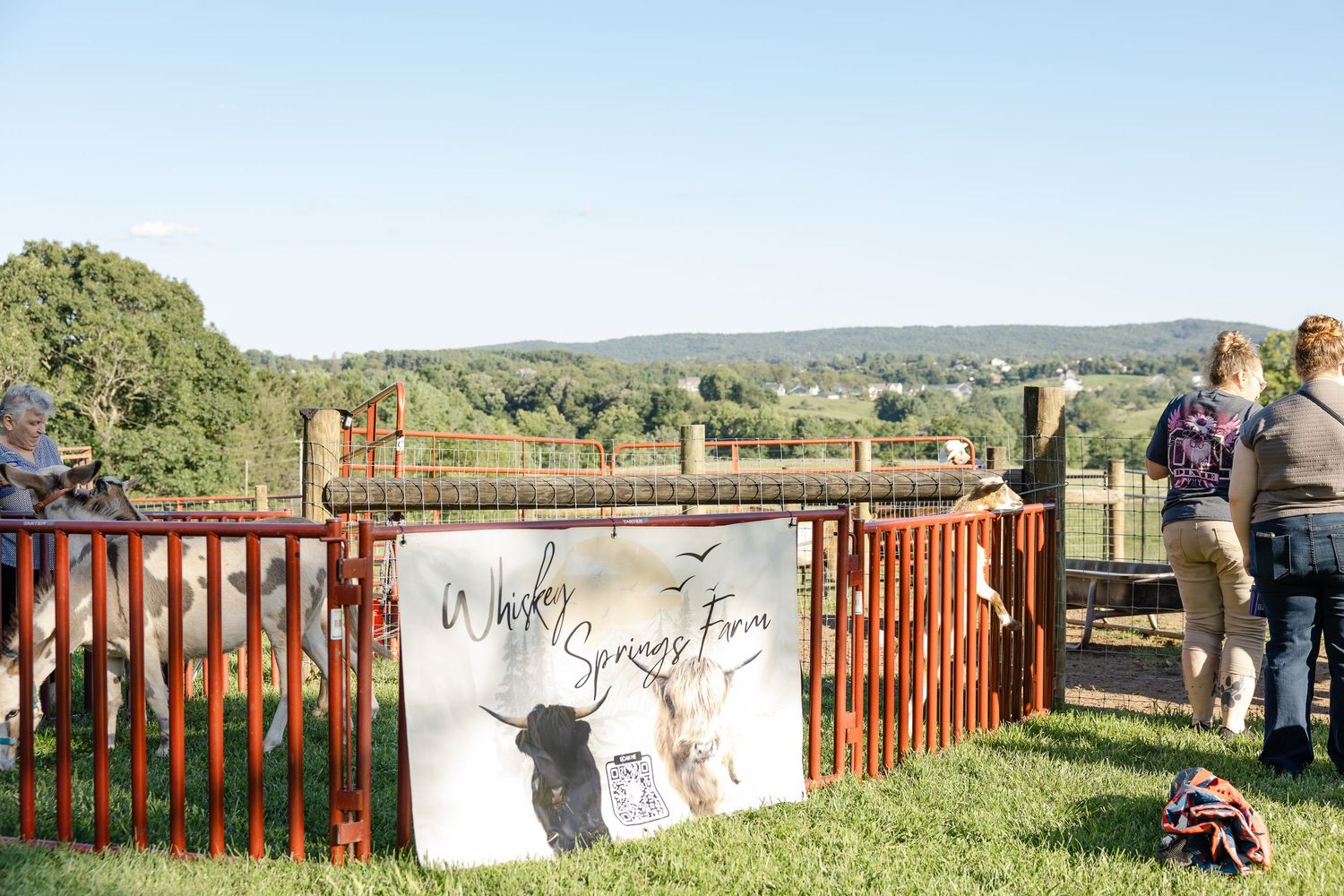 Visitors gather around a rustic farm pen with a Wesley Springs Farm banner sign on a sunny day.