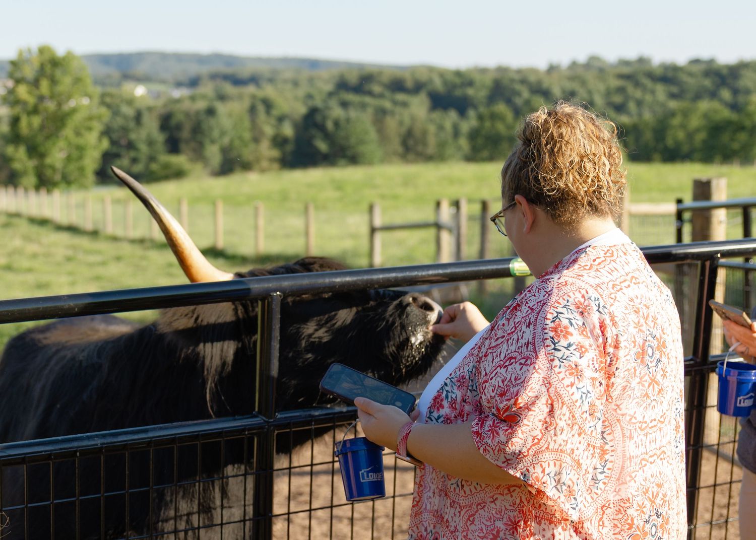 A woman in a floral shirt reads notes beside a longhorn cattle pen at a rural farm fair.