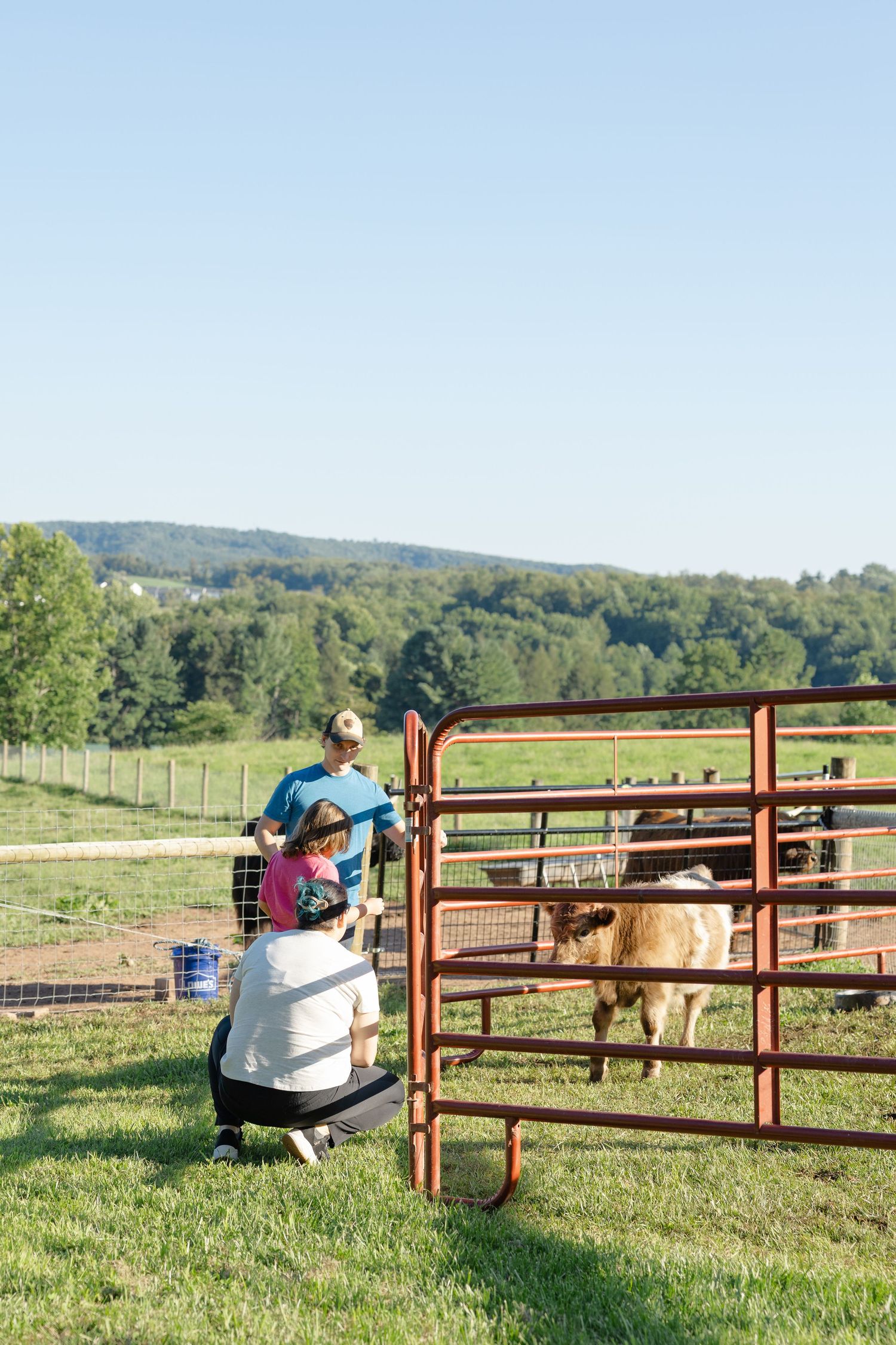 Family with child crouching by red metal gate feeding a calf at a scenic farm event.