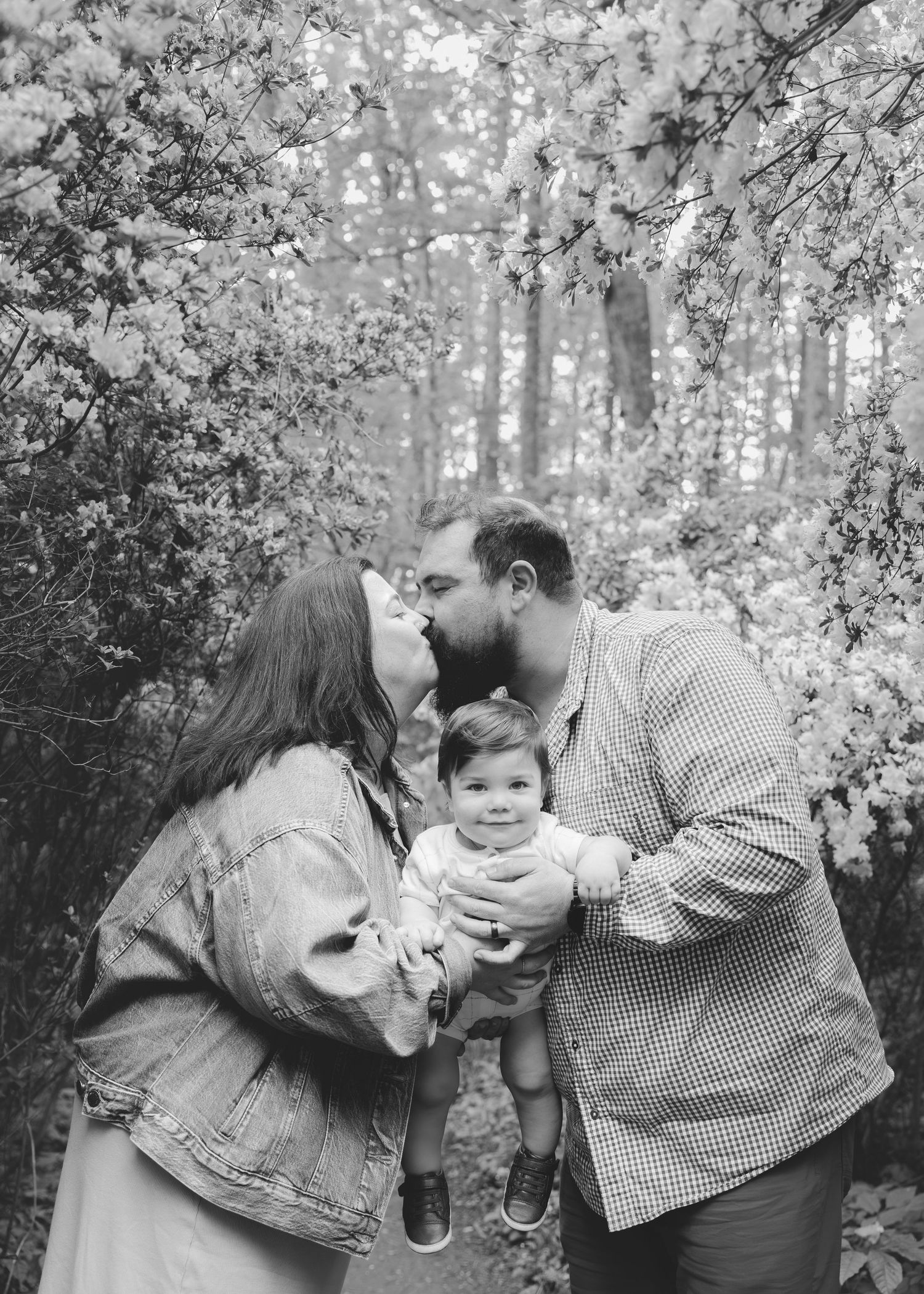 Black and white photo of a couple kissing while holding their baby outdoors under flowering trees.
