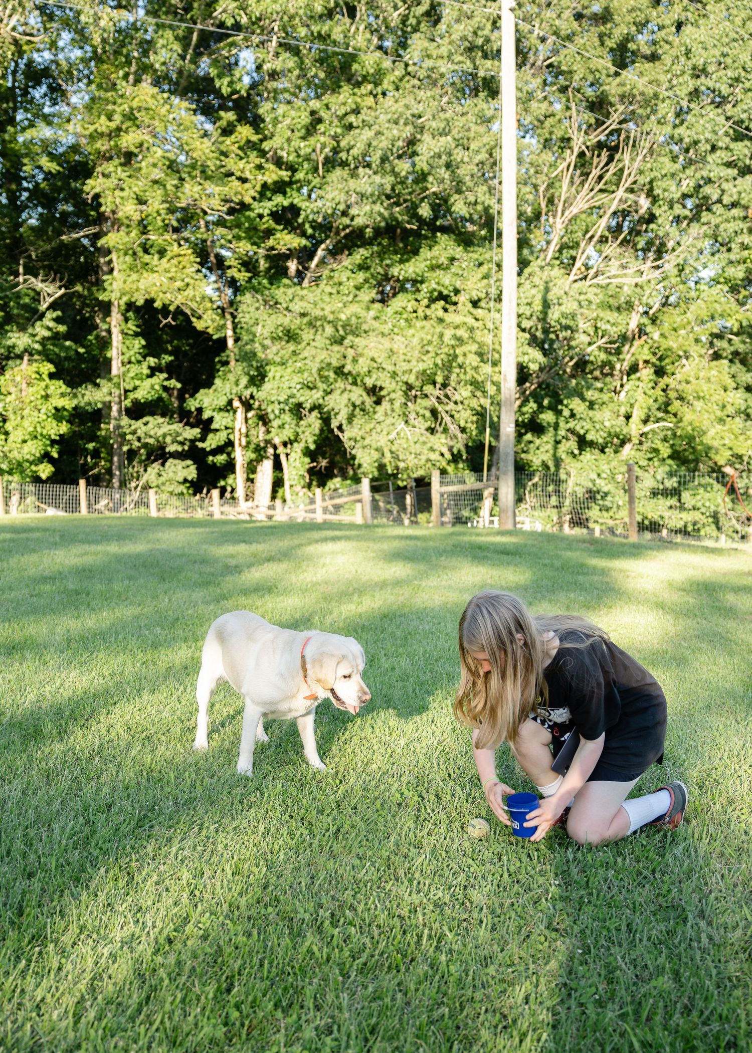A young girl kneels on green grass interacting with a white Labrador puppy outdoors near trees.