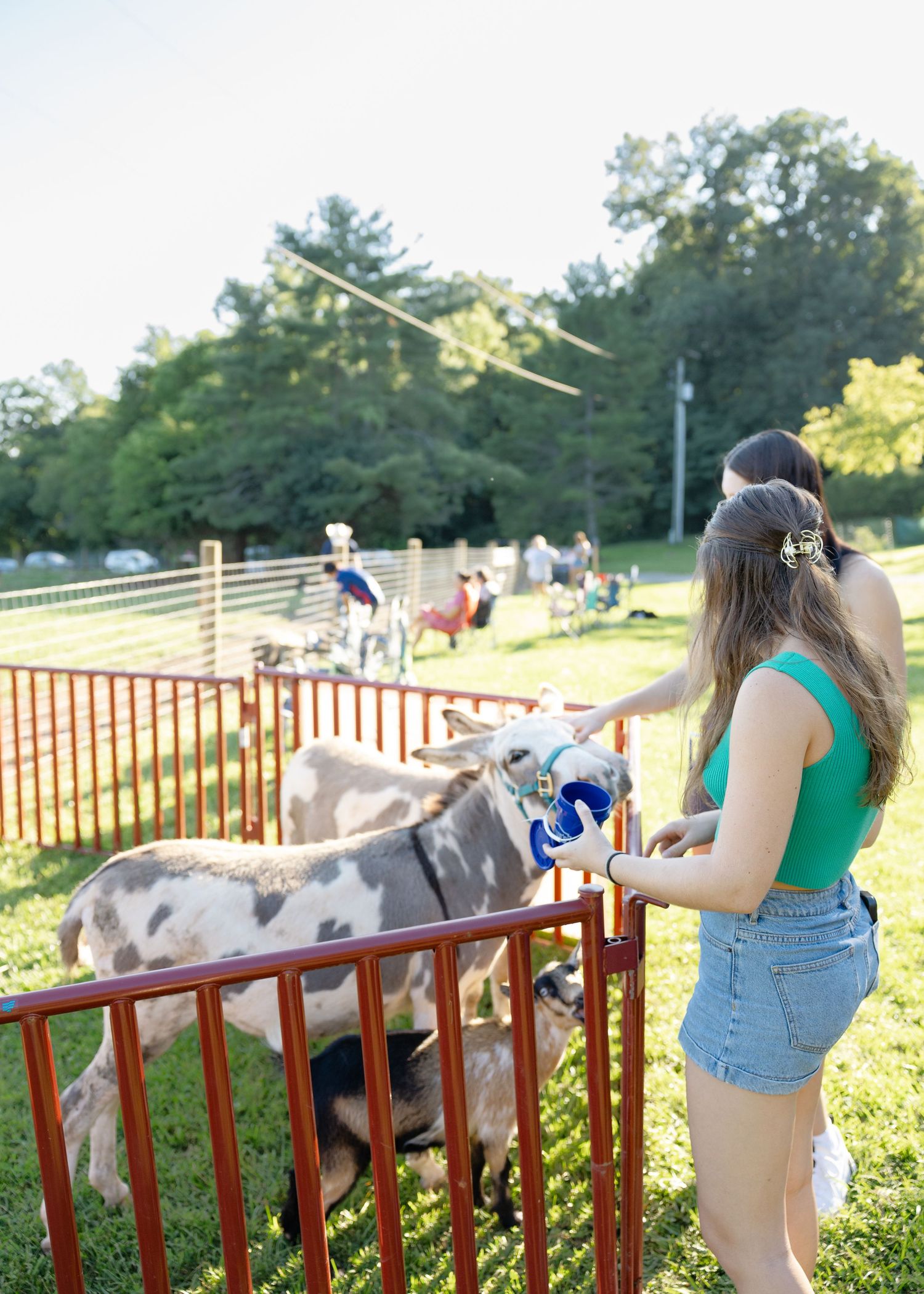 Young woman in green tank top feeding goats at a petting zoo farm on a sunny summer day.