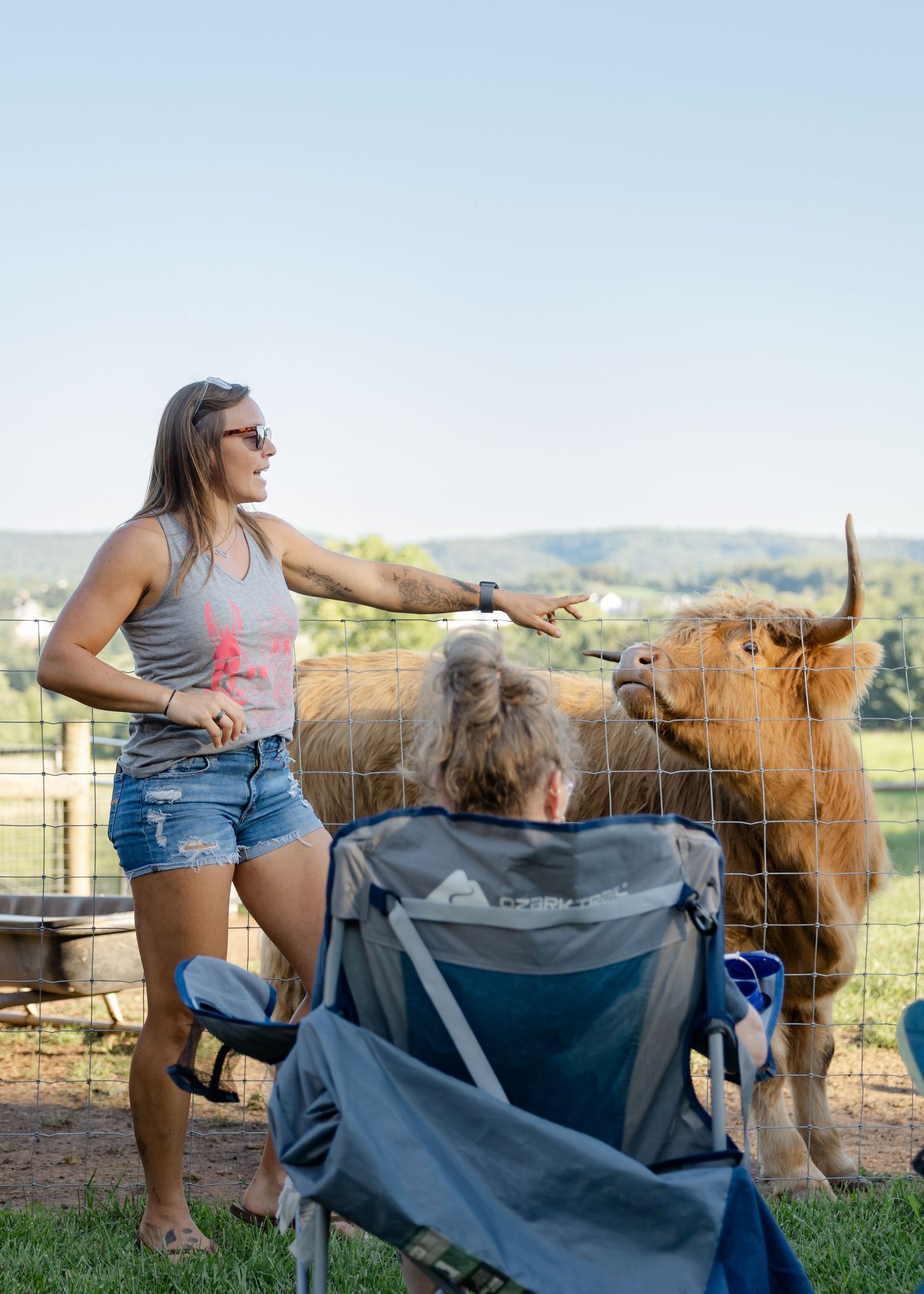 Woman feeding a Highland cow through a fence while another person sits in a camp chair on a sunny farm day.