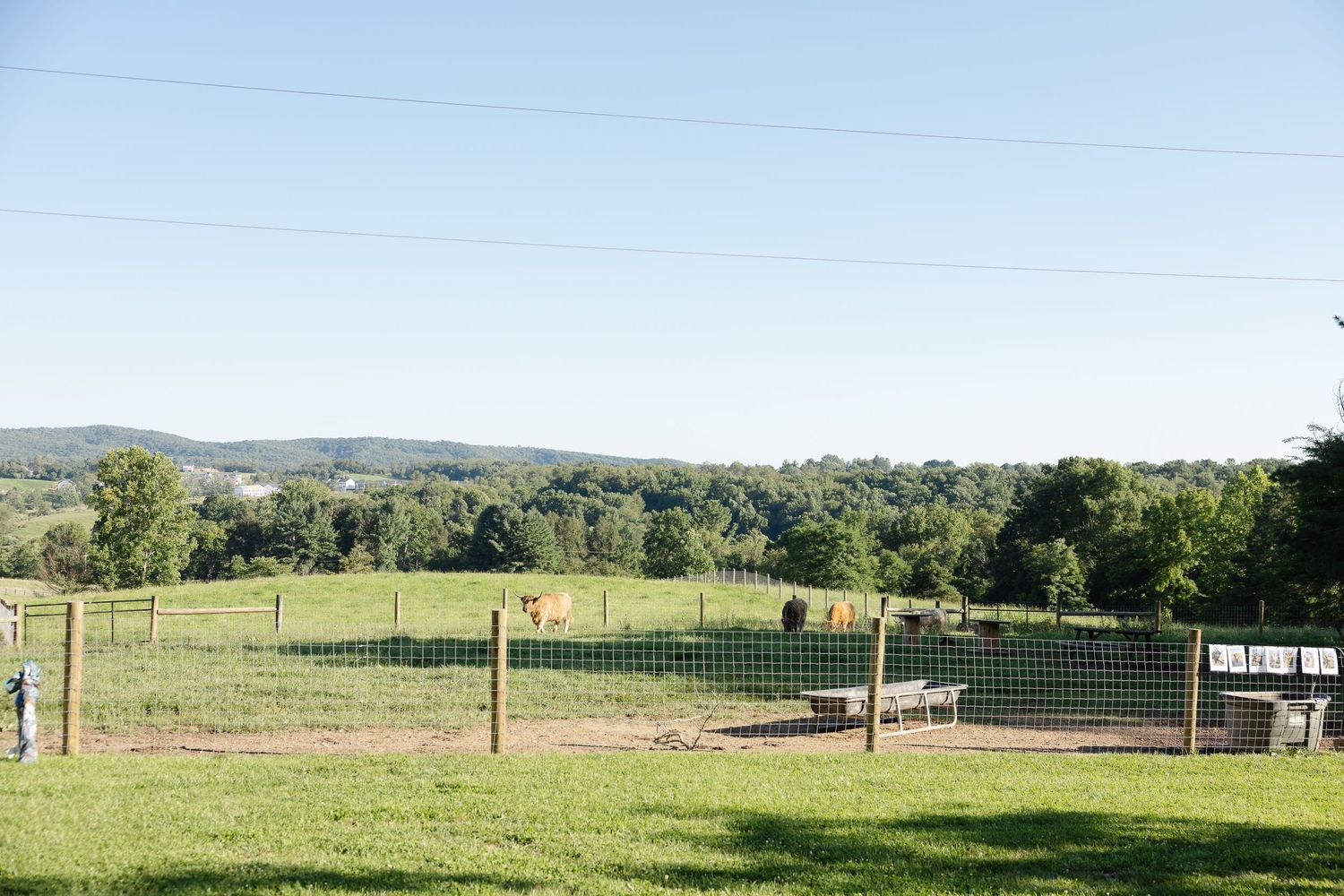 Rural farm landscape with green pastures, wooden fencing, and tree-lined hills under a clear blue sky.