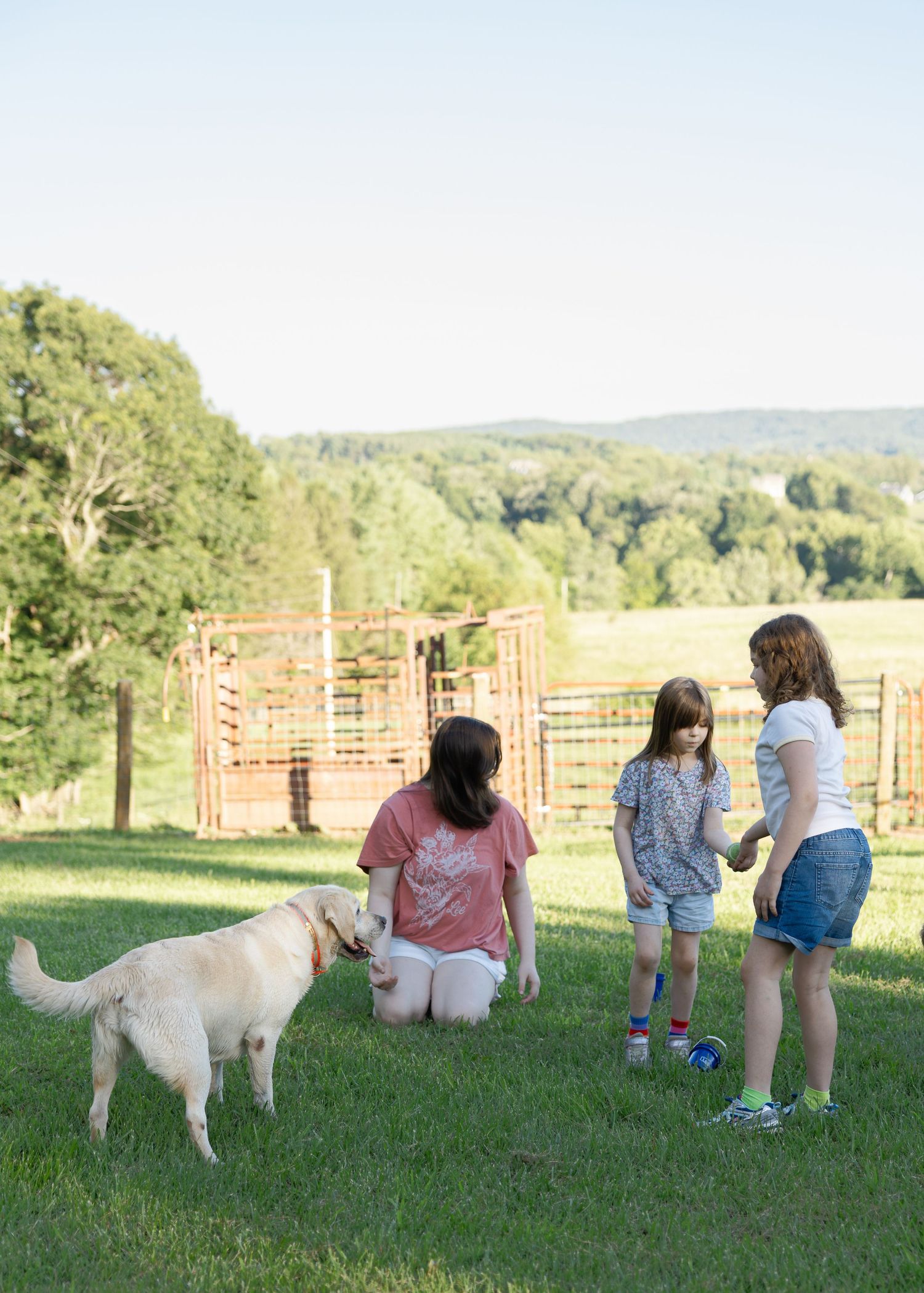 Three girls interact with a golden Labrador on a green farm lawn with wooden cattle fencing and rolling hills behind.