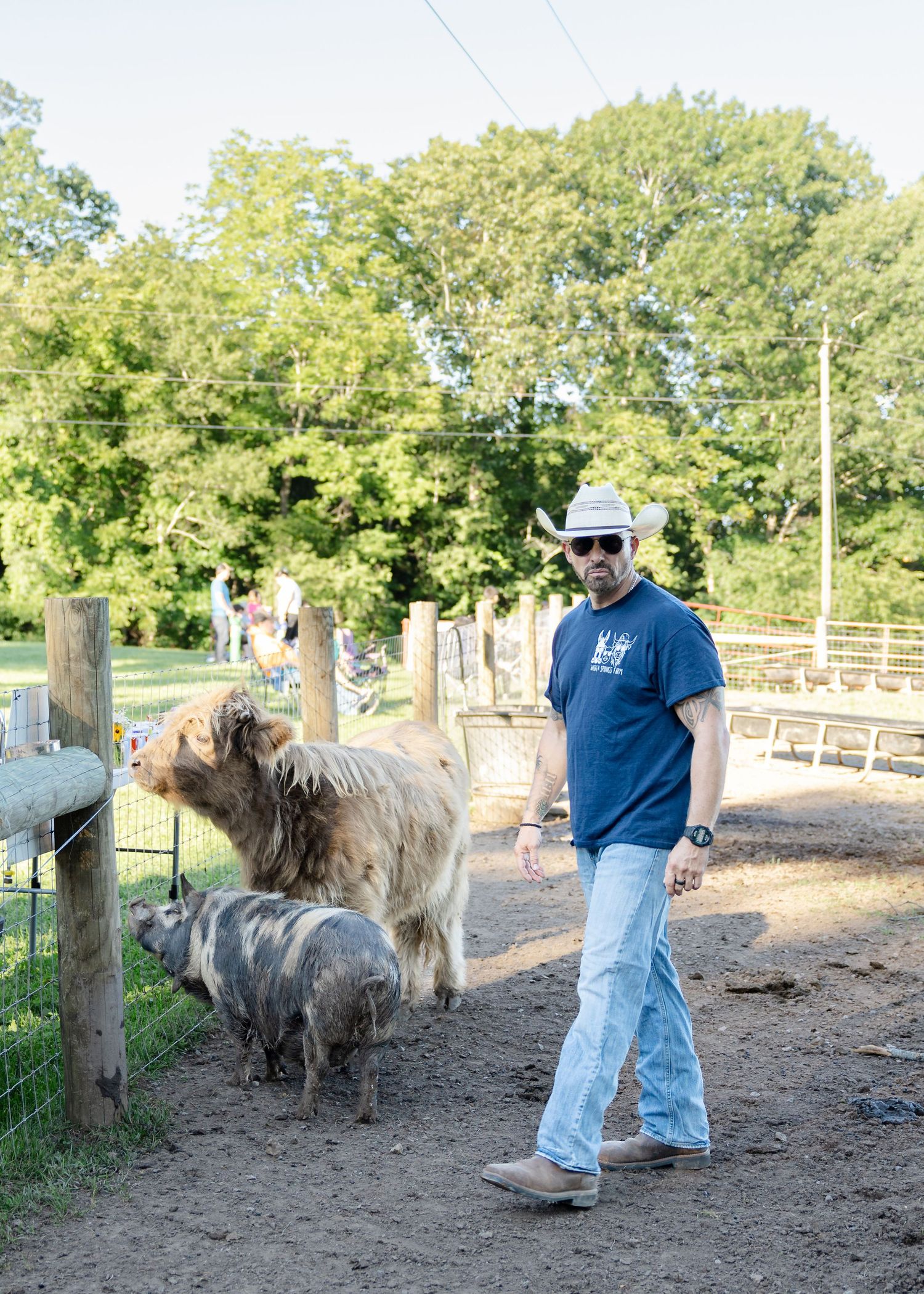 Man in cowboy hat and jeans standing with fluffy Highland cattle and pig in farm enclosure.