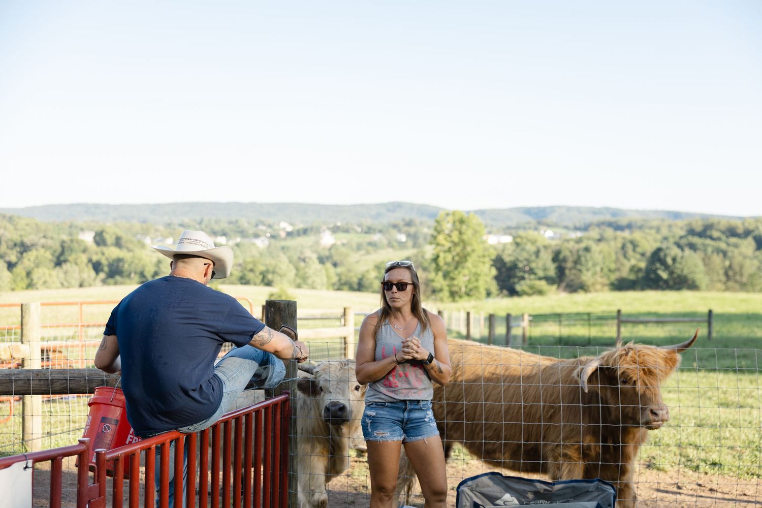 Man and woman interacting near a Highland cow at a scenic farm with rolling green hills backdrop.