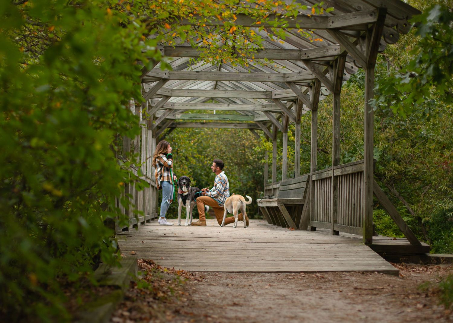 Couple with dogs relaxing under a wooden pergola bridge surrounded by lush green foliage in a park.