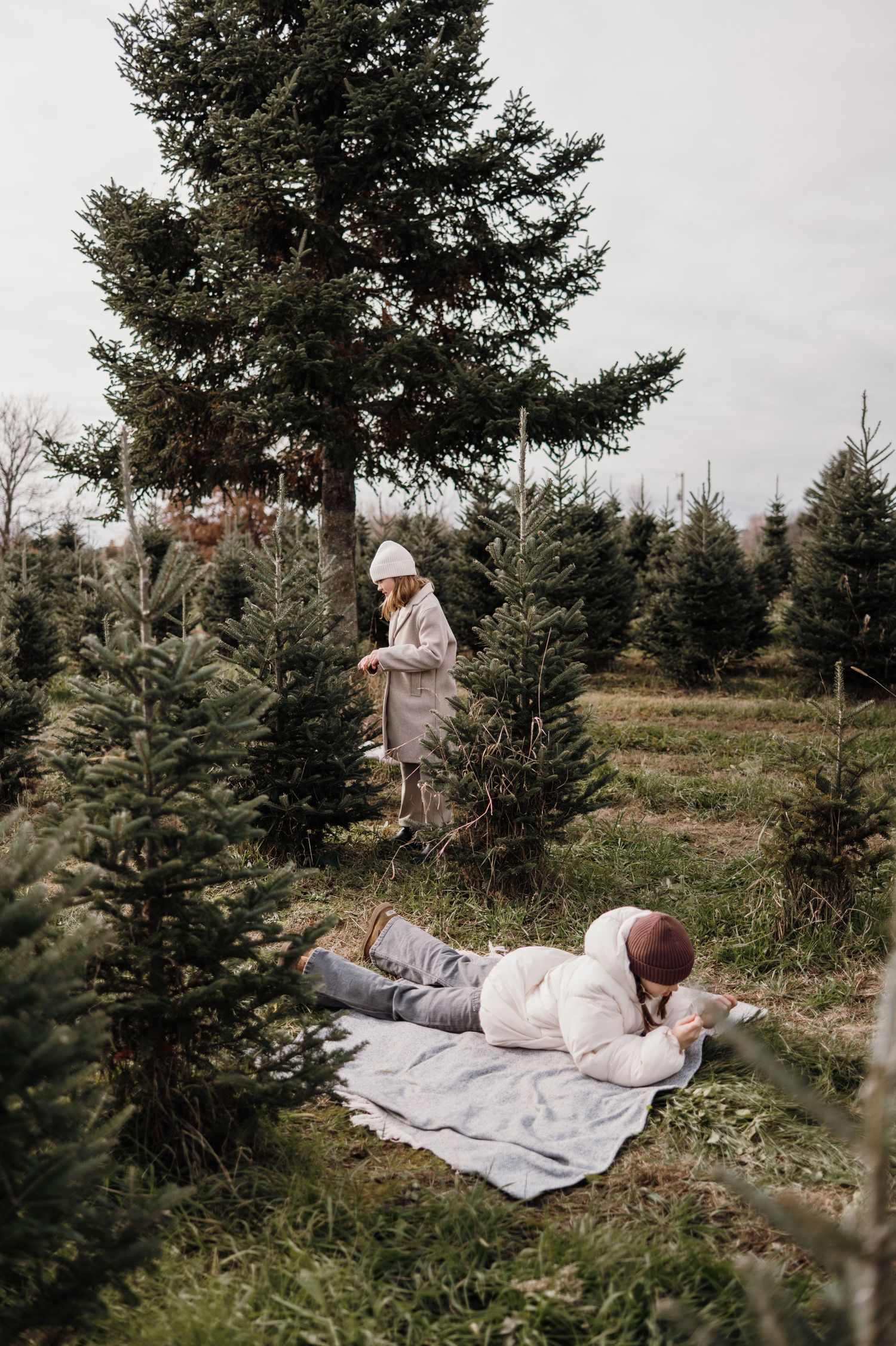 Family relaxing at a Christmas tree farm, woman standing by evergreens while man lies on blanket. Lake Elmo, Minnesota.